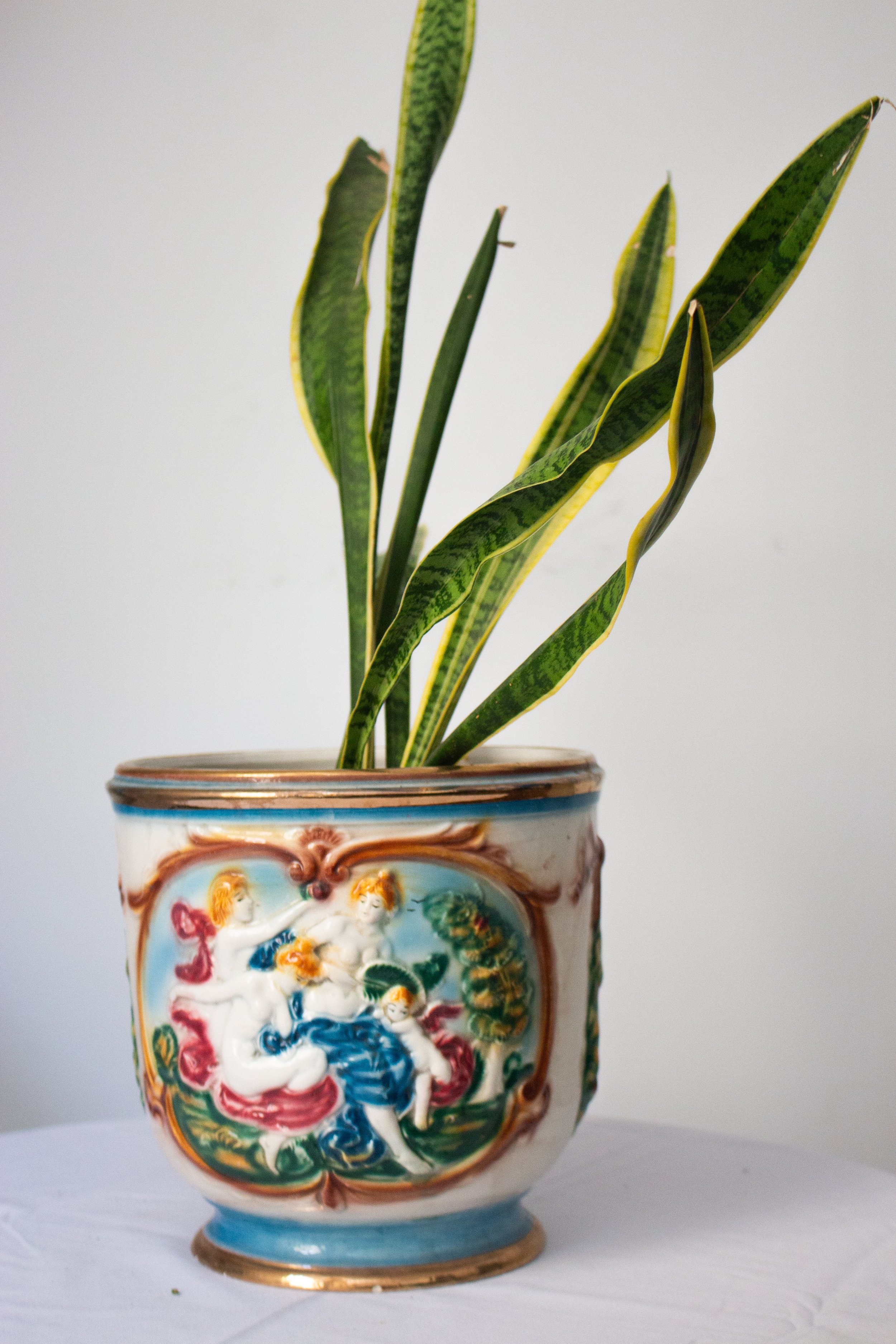 colo planter