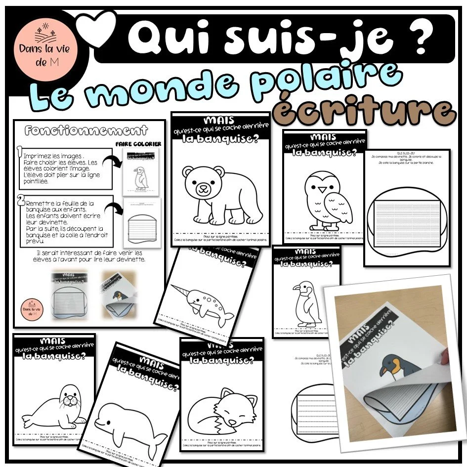 ❄️🐧 Qui suis-je ? – Le monde polaire - 1er cycle