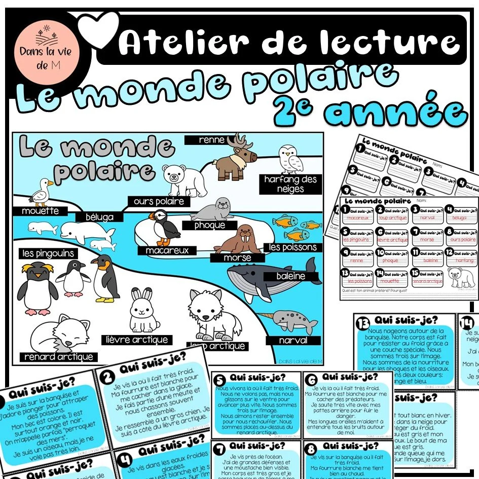 ❄️🐻‍❄️ Atelier de lecture – Le monde polaire (2e année)