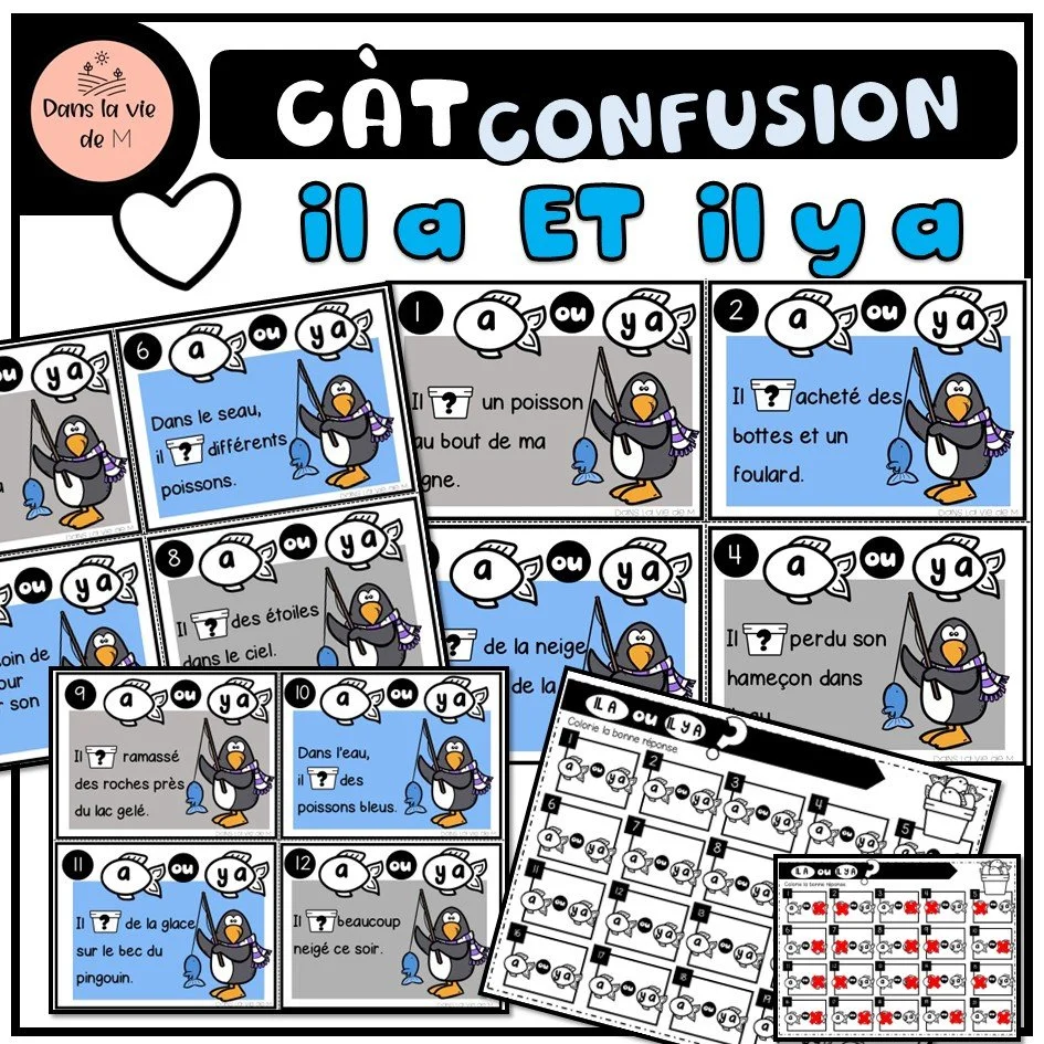 CÀT Confusion  Il a OU il y a 🐧❔