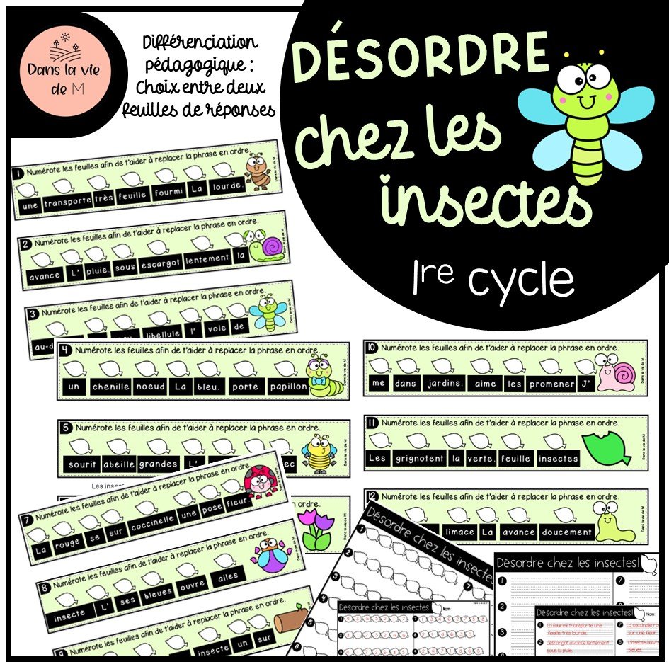 Désordre chez les insectes - 1er cycle 🐛🐝