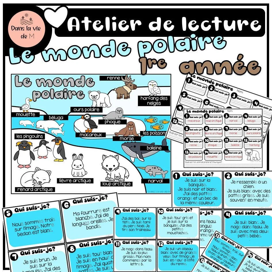 ❄️ Atelier de lecture – Le monde polaire (1re année)🐻‍❄️