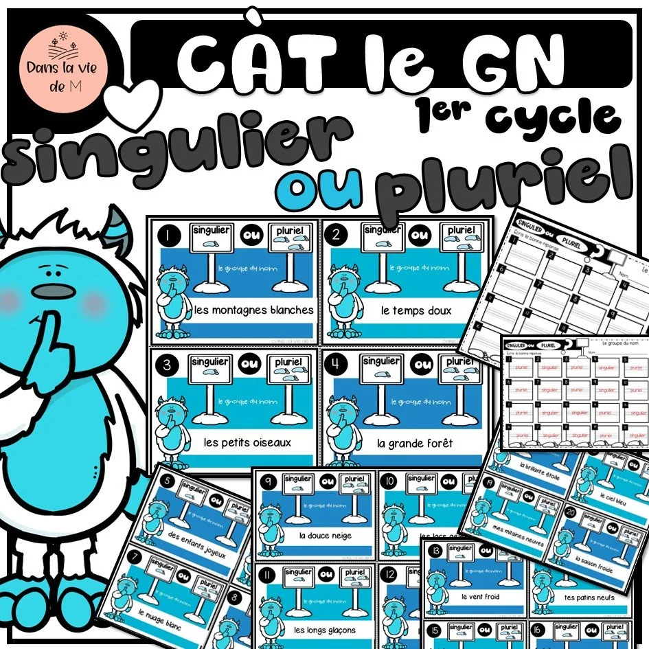 ❄️ 20 cartes à tâches – Le groupe du nom Singulier ou pluriel - 1er cycle