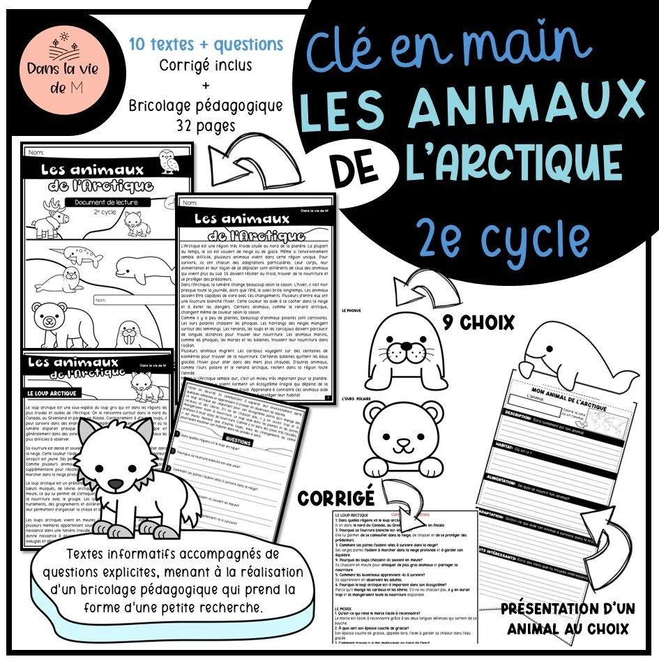 ❄️ NOUVEAUTÉ – Les animaux de l’Arctique (2e cycle) ❄️