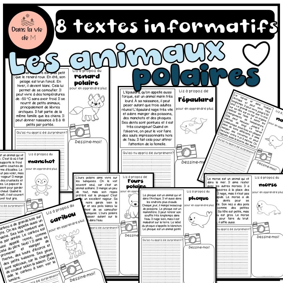 ✨ 8 textes informatifs sur les animaux polaires ❄️🐾- Lire pour apprendre