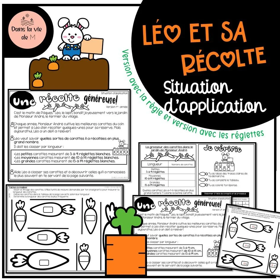 🥕🌷 Léo et sa récolte – Situation d’application 🐰- 1er cyle