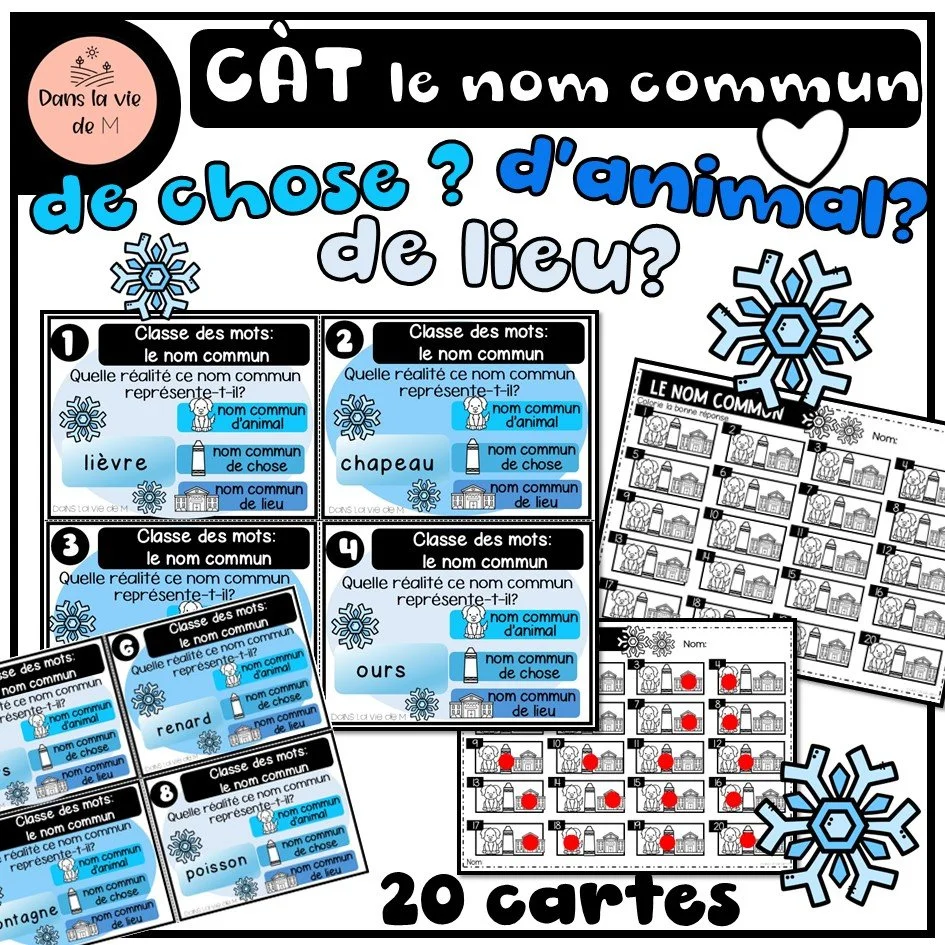 ❄️ 20 cartes à tâches – Le nom commun 🏷️ Chose ? 🧸 Animal ? 🐾 Lieu ? 🏠