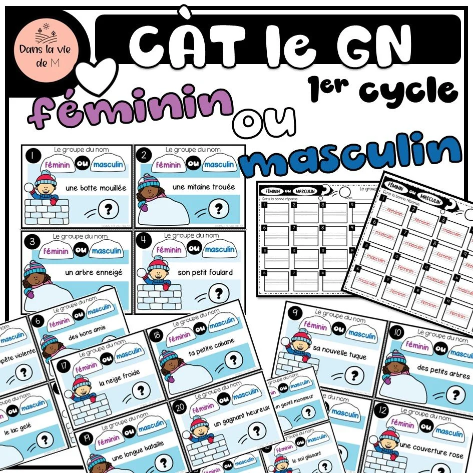 ❄️📚 Cartes à tâches – Le groupe du nom : féminin ou masculin 1er cycle
