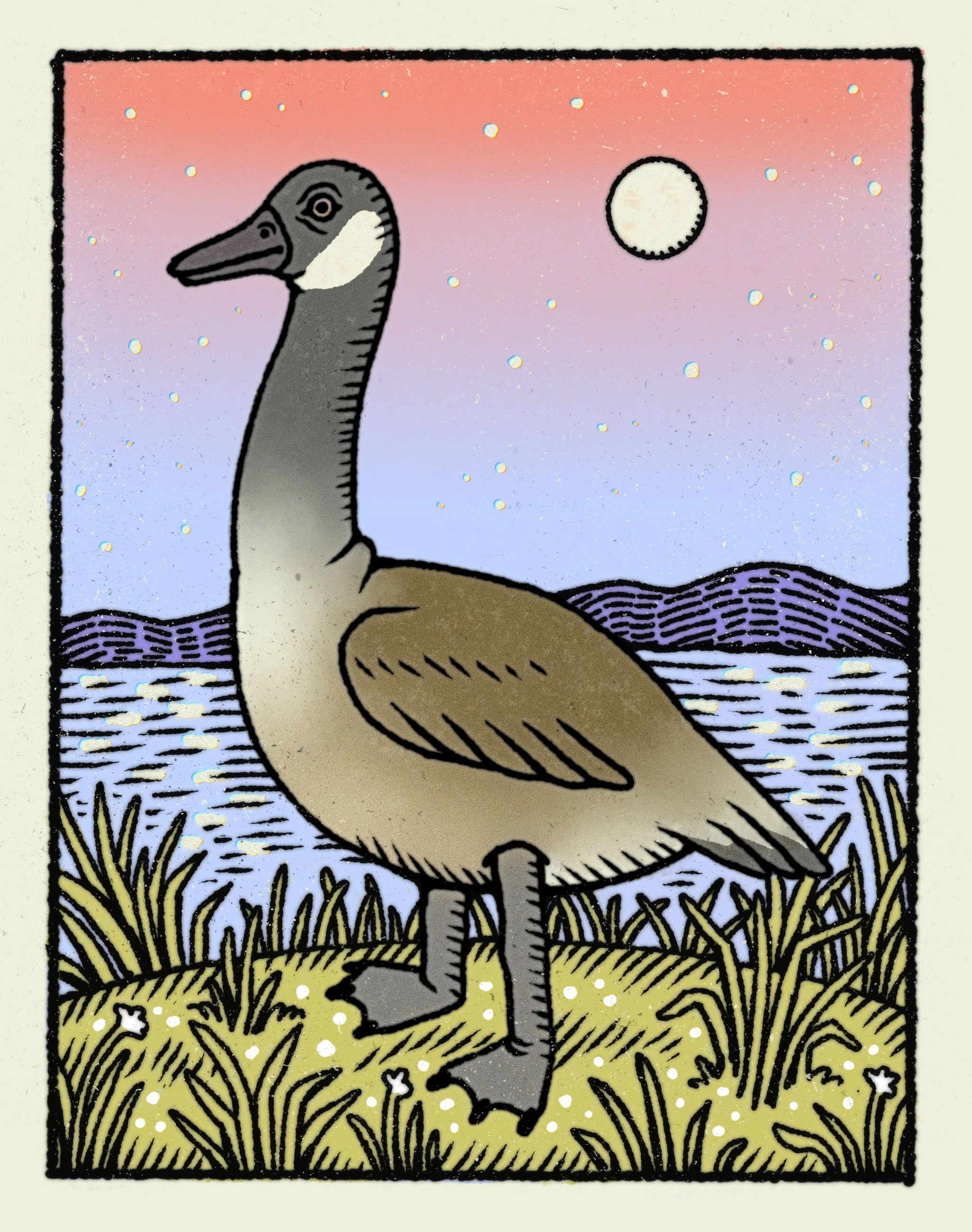 goose.jpg
