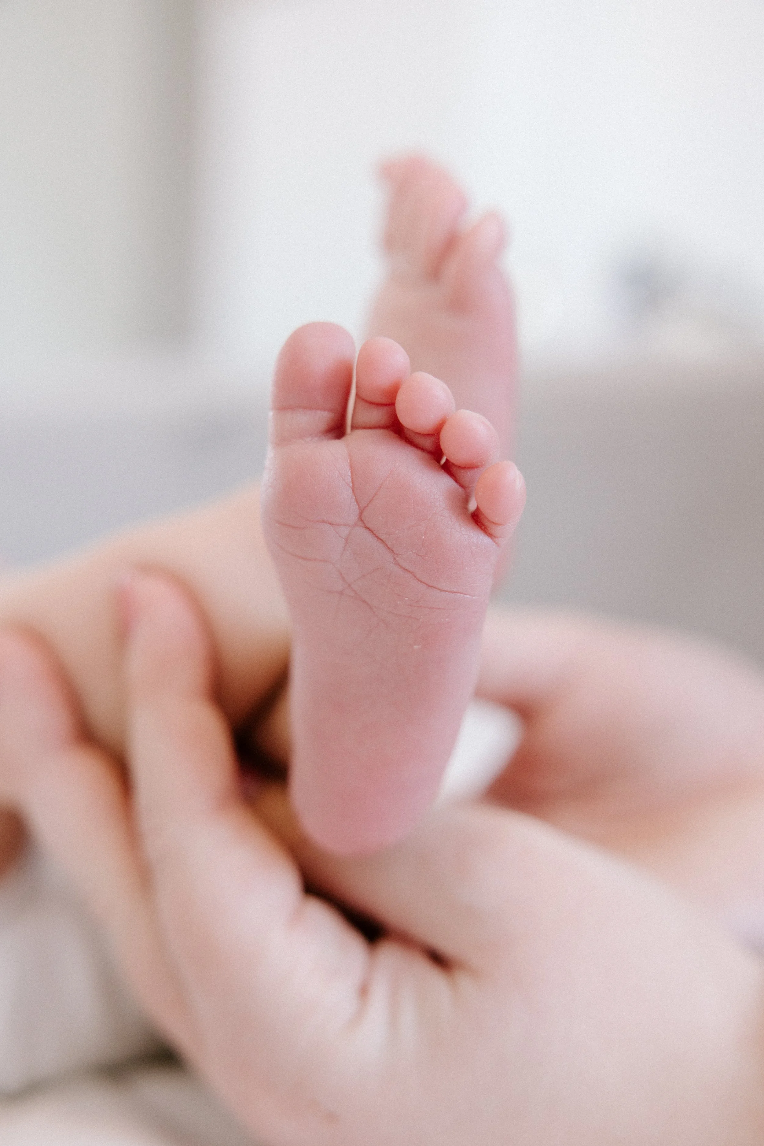 The Essentials Session