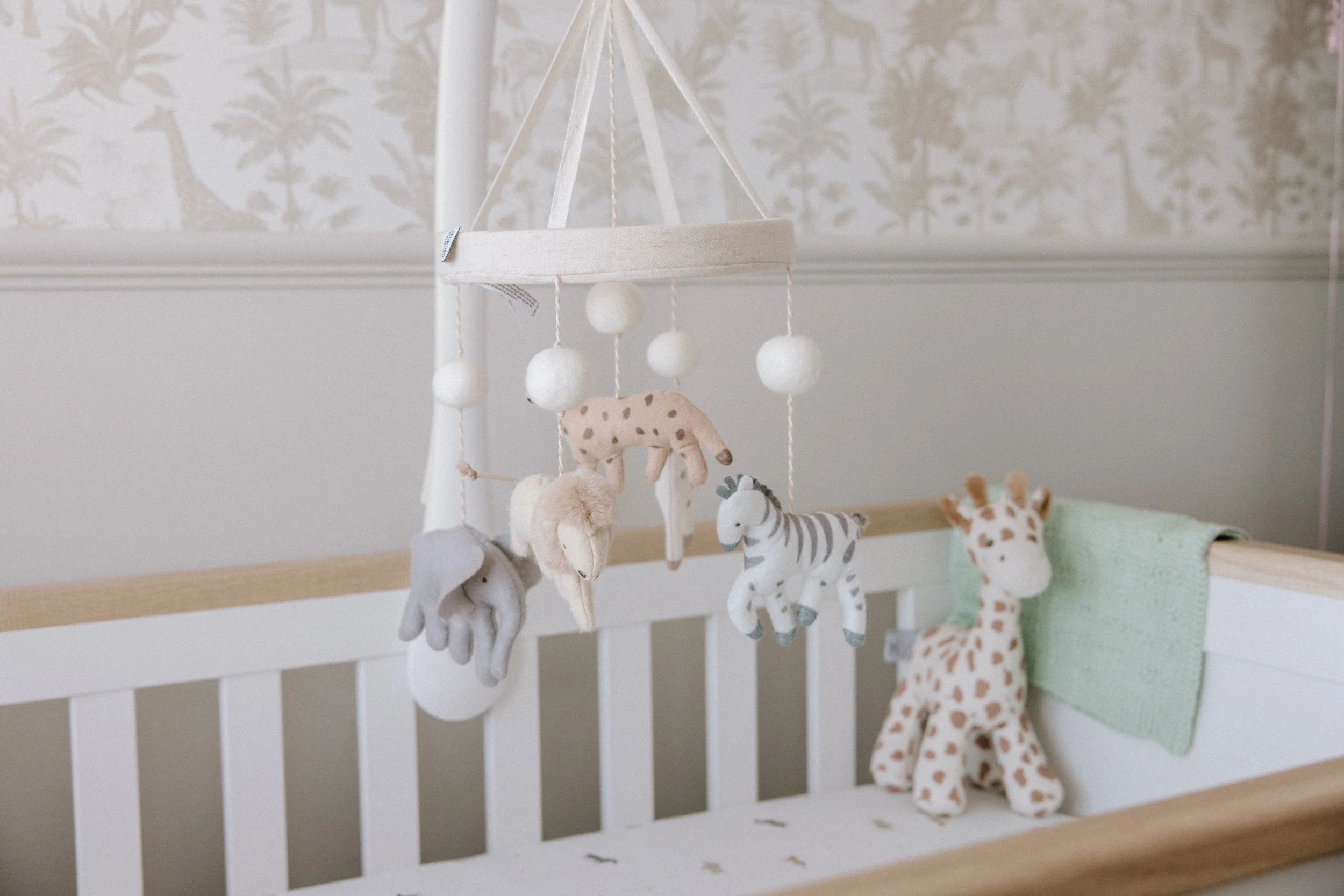 The First Glimpse Mini