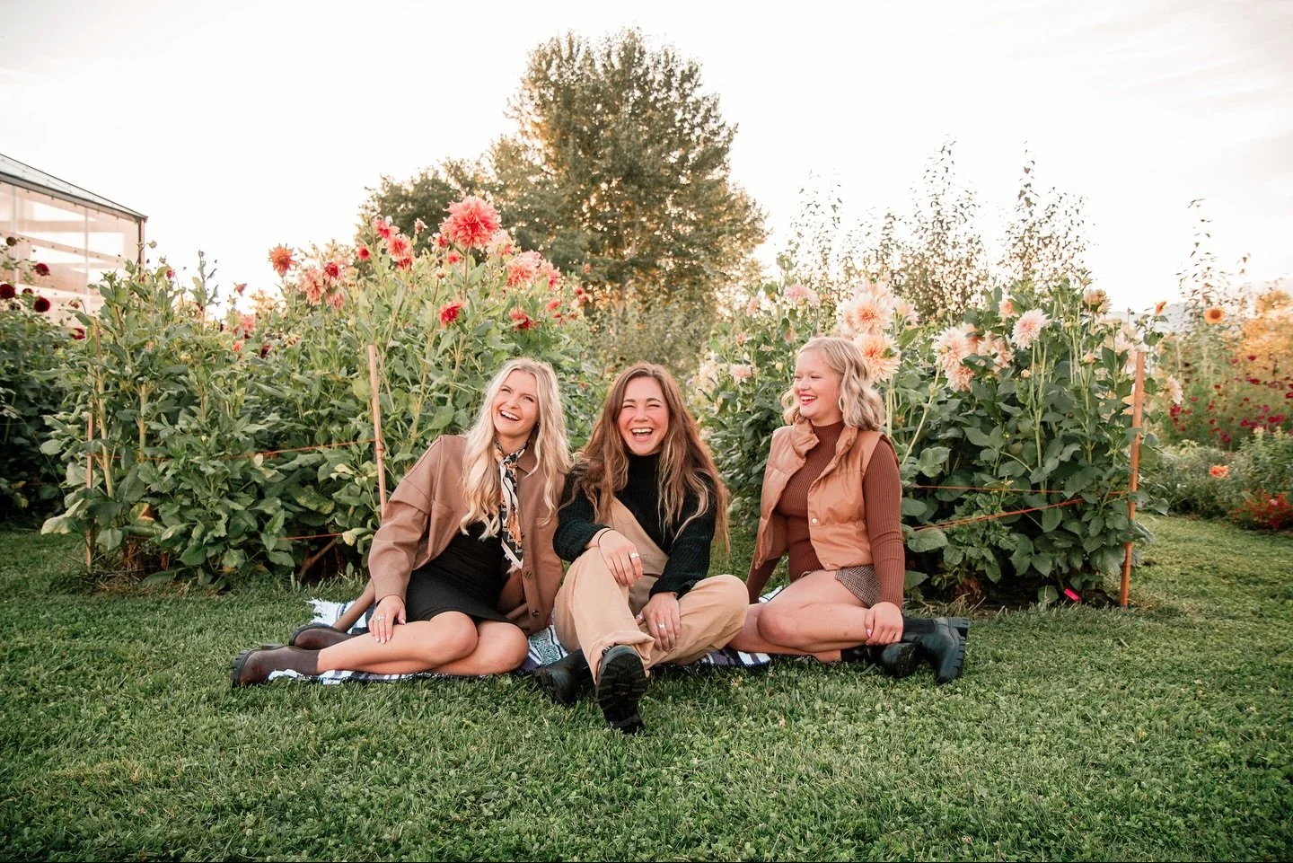 My favorite season is when the dahlias are in bloom, the evenings are chilly, the leaves are changing, and the sunlight is golden ✨
Shot for @apricotlanemissoula
#dahliasofinstagram #missoulaphotographer #montanaphotographer #fashionphotography #b