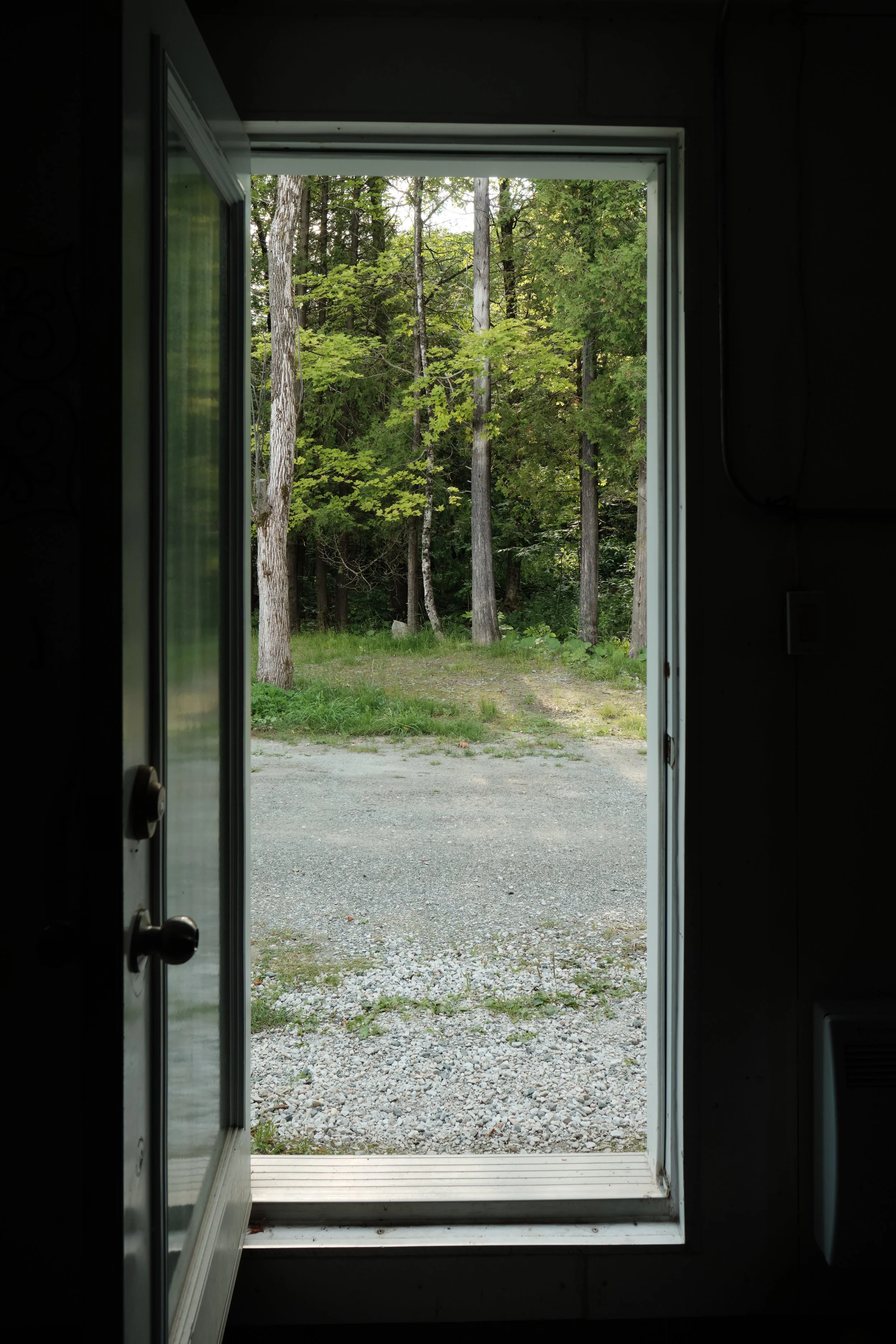 The little farmhouse and old wooden barn sat quietly at the edge of the forest, where every path disappeared beneath the trees. Stepping outside each morning, the sounds of birds and rustling leaves replaced the noise of everyday life, reminding me h