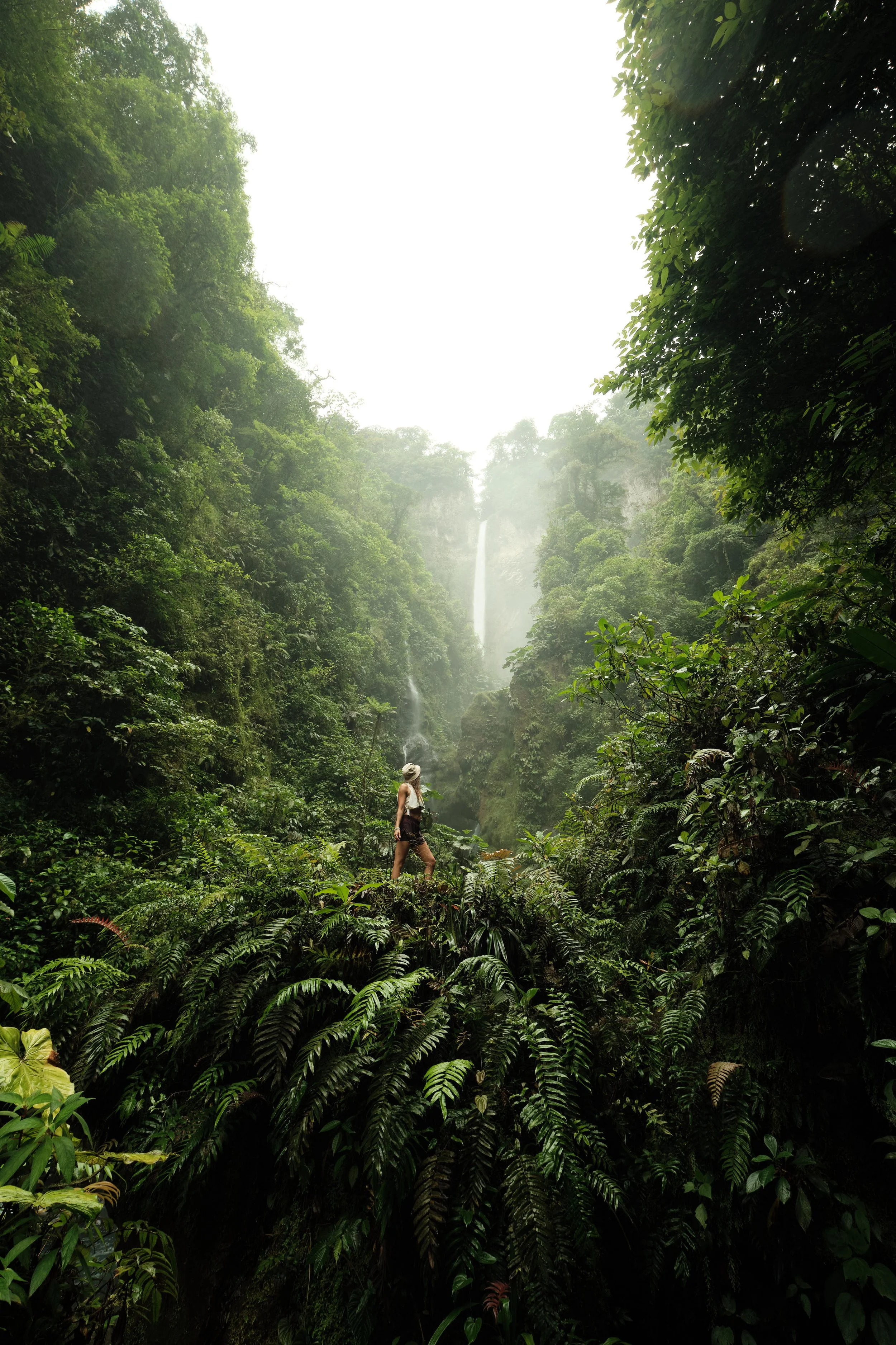 jungle-portrait-uvita-costa-rica-ezequiel-fort-468.jpg