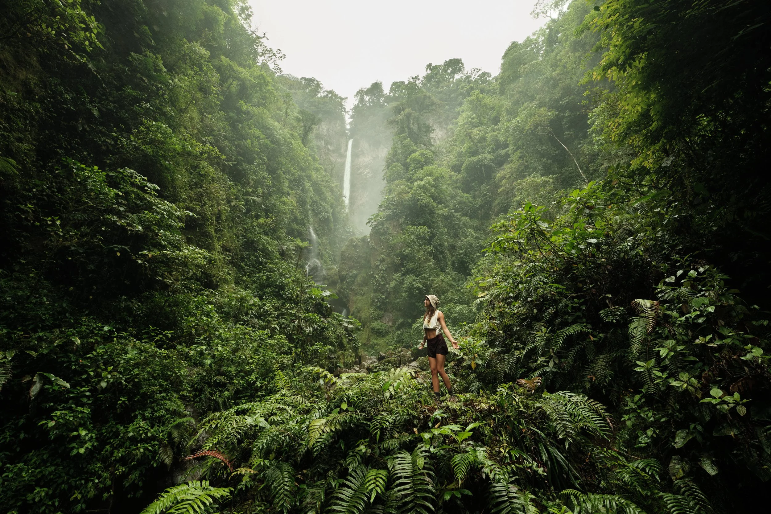 jungle-portrait-uvita-costa-rica-ezequiel-fort-473.jpg