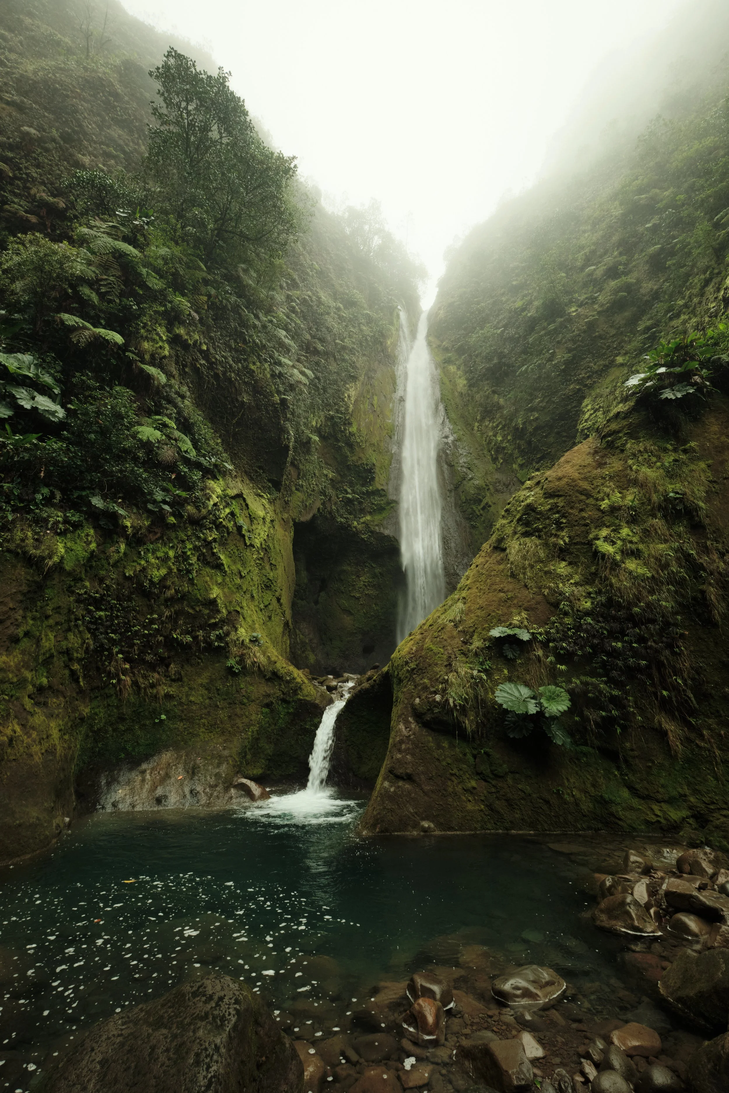 Heart of Bajos del Toro -

Surrounded by ancient volcanic rock and emerald rainforest, this secluded waterfall plunges into a calm pool, creating one of the region’s most breathtaking hidden landscapes.