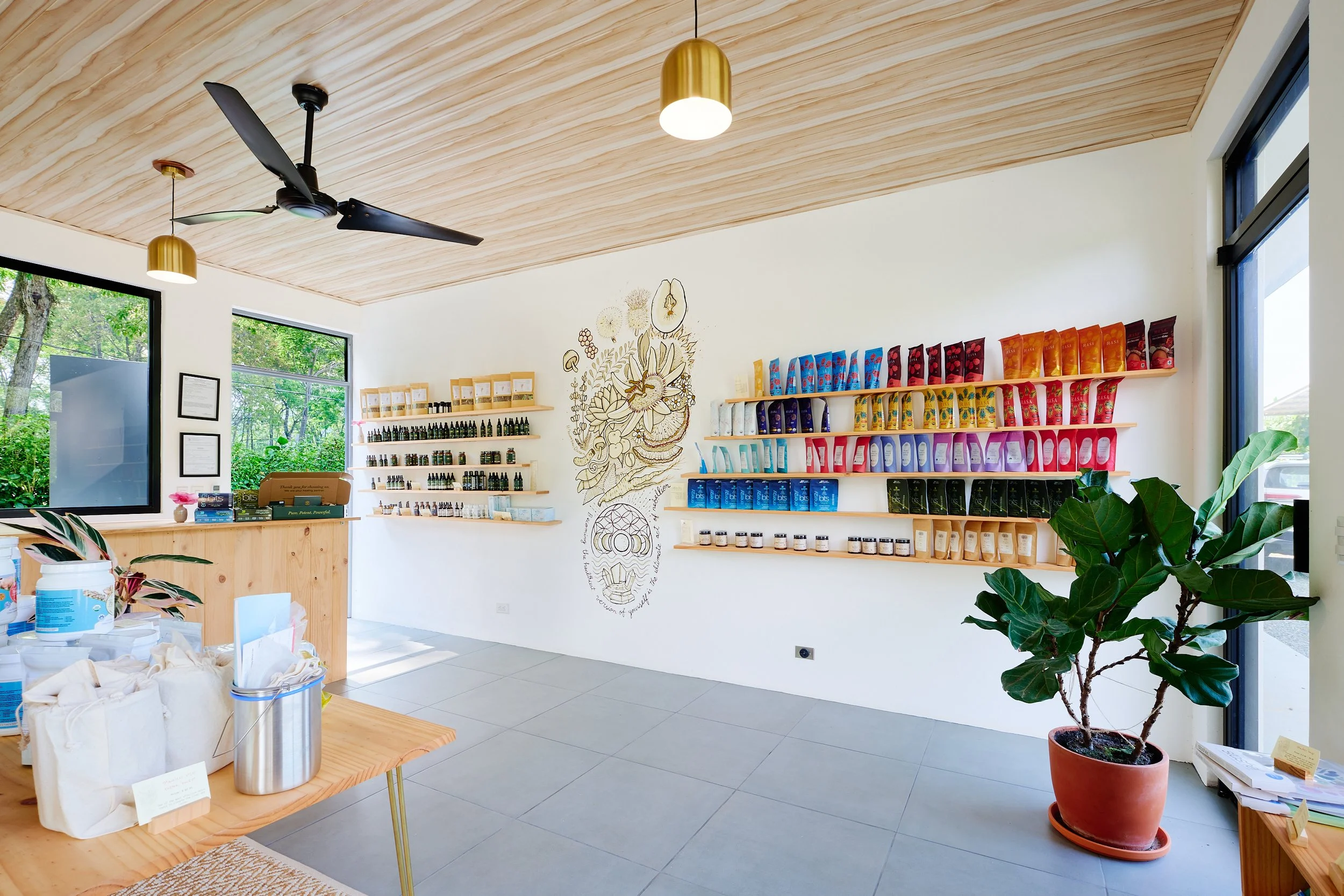 Non-Toxic Steps, Uvita Costa Rica