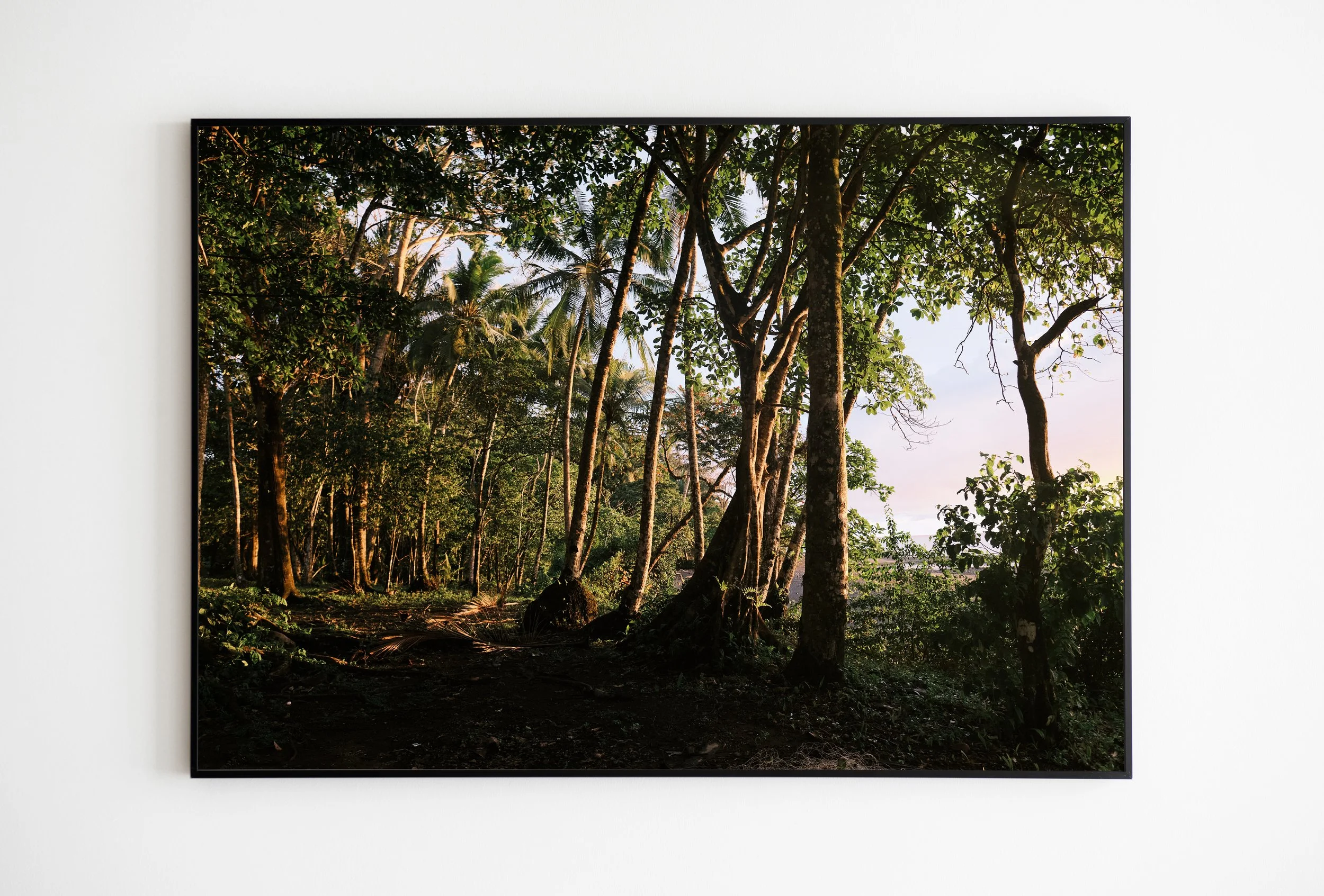 "Grounded in Gold" | Pavones, Costa Rica.
This is where the world turns to gold and the soul remembers how to breathe. Near Pavones Beach, as the sun dipped low, the jungle didn't just glow—it hummed. I stood there, grounded, feeling the earth's ene