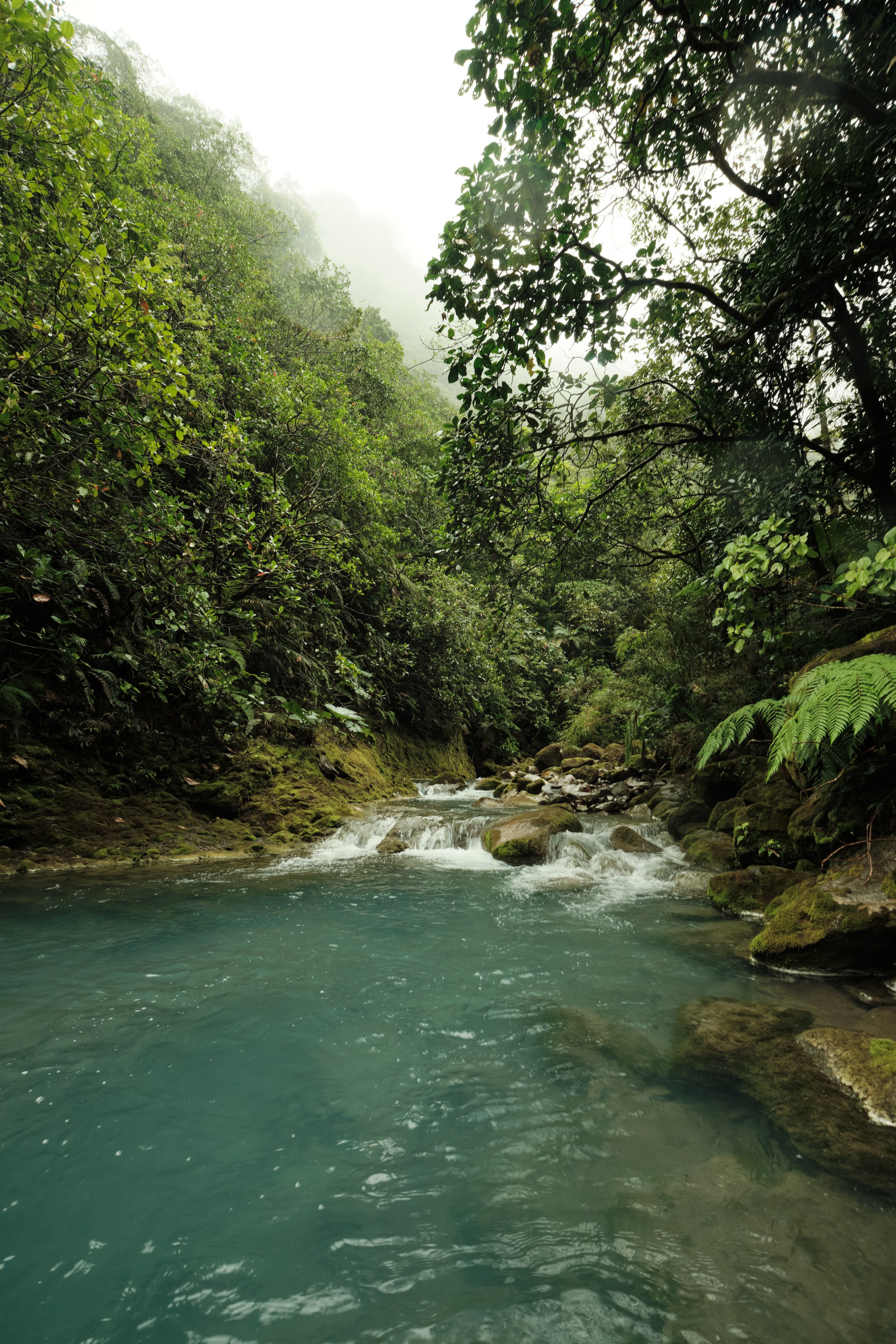 Crystal Waters of Bajos del Toro -

Fed by volcanic springs, these turquoise waters carve their way through lush rainforest, creating one of Costa Rica’s most peaceful hidden landscapes.