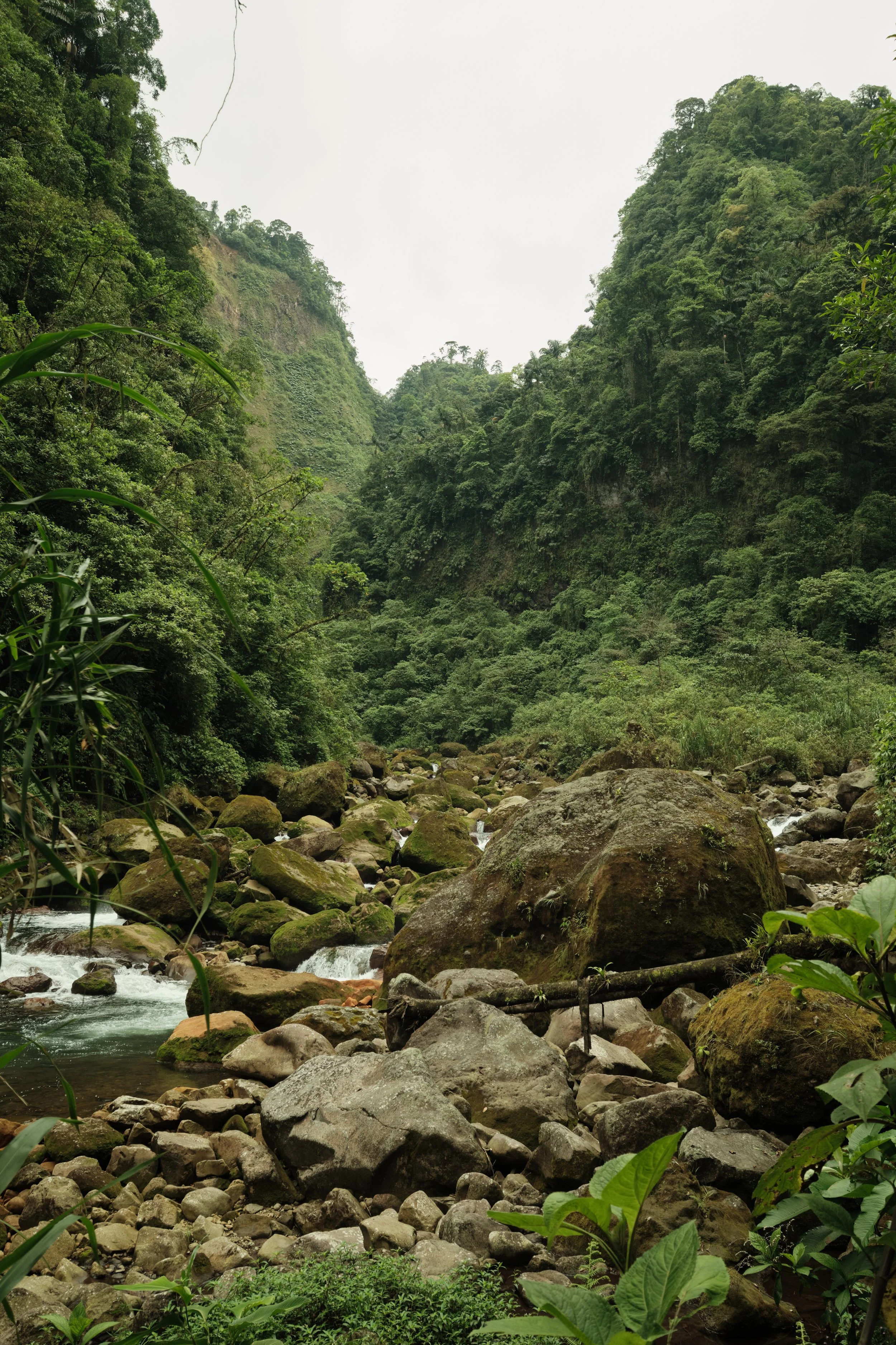 Where Rivers Carve the Rainforest -

A rugged riverbed winds through a lush volcanic valley, surrounded by towering cliffs that have been shaped by centuries of flowing water and tropical growth.