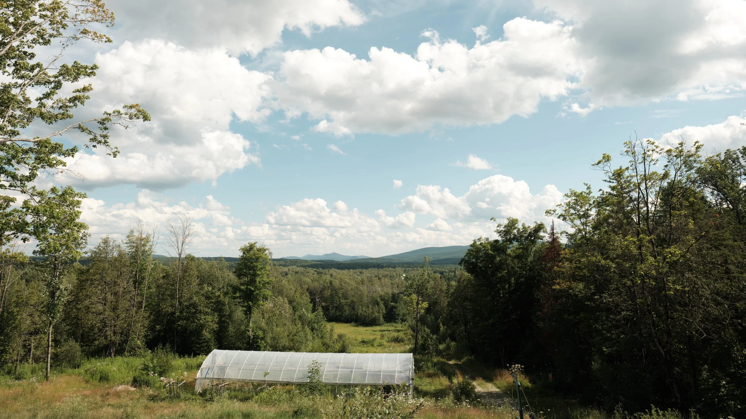 Hidden between forests and rolling hills, the greenhouse where I stayed blended quietly into the landscape. Each morning began with this view, where drifting clouds, endless green, and the silence of Québec’s countryside made time feel wonderfully un