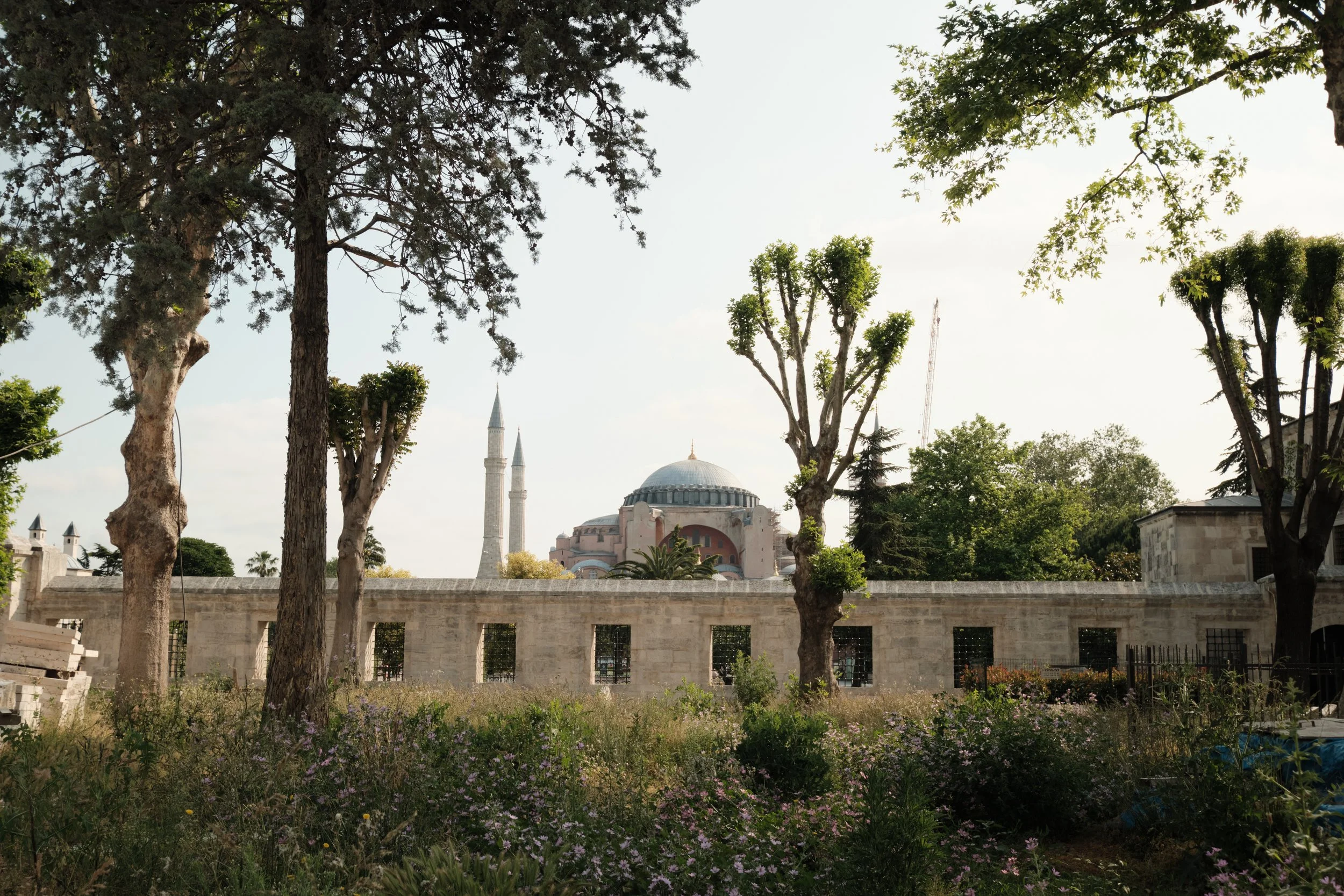 Just a short walk away, Hagia Sophia appeared beyond the gardens—a monument that has witnessed empires, faiths, and centuries of history, remaining one of Istanbul’s most enduring landmarks.