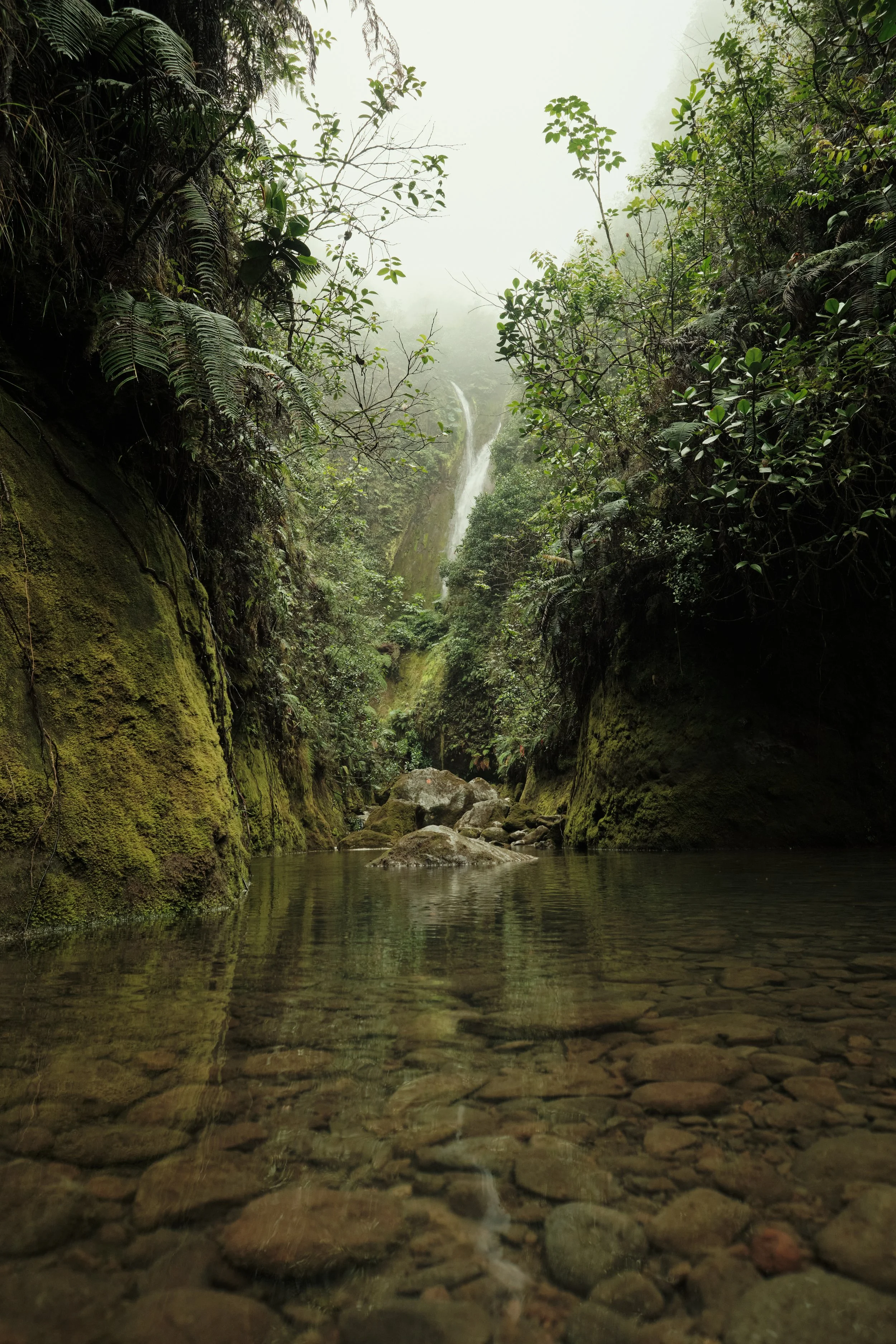 Gateway to the Hidden Falls -

Crystal-clear water flows quietly through a narrow volcanic canyon, where towering walls of moss and rainforest conceal waterfalls just beyond the mist.