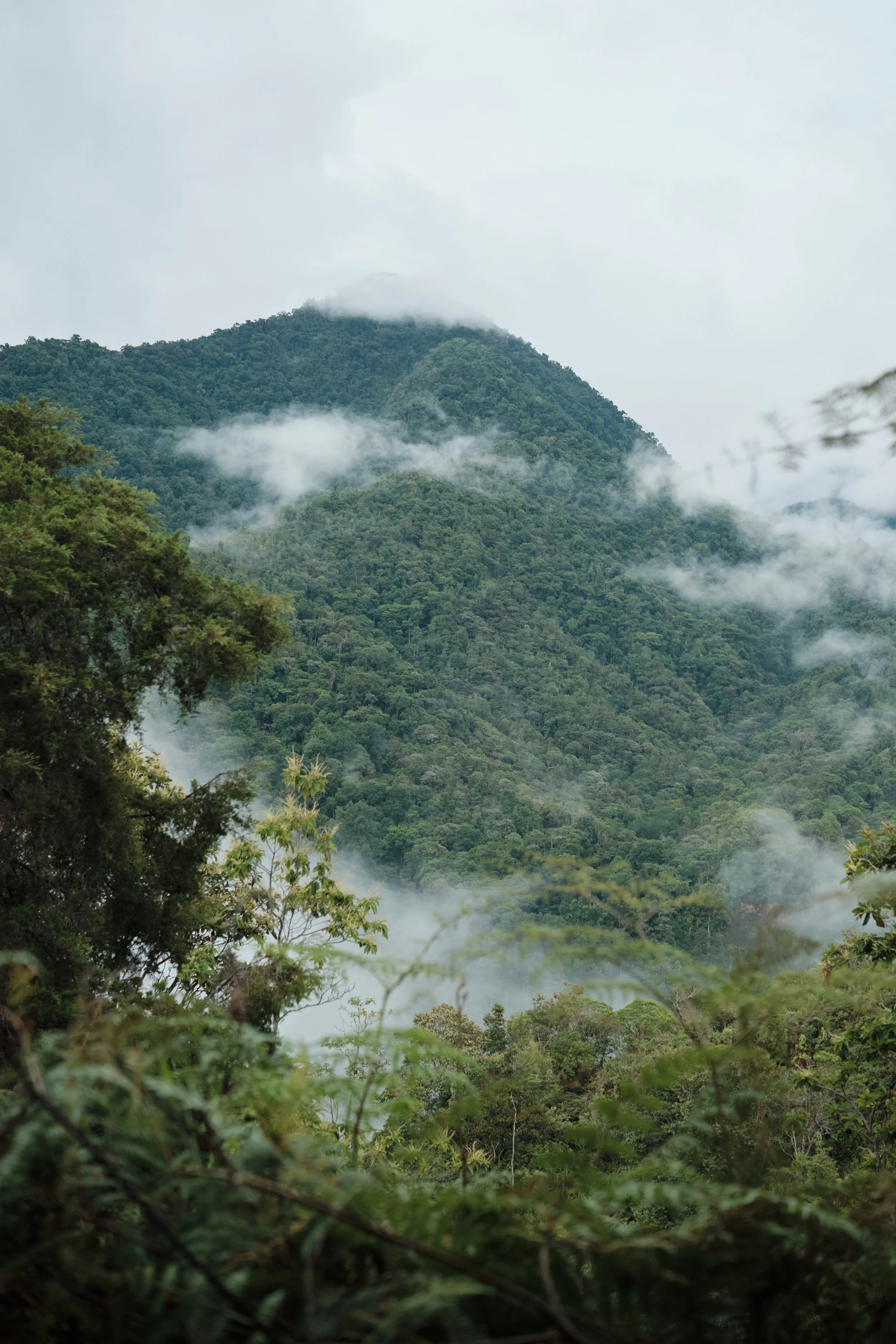 Where the Mountains Meet the Clouds -

Low-hanging mist drifts across the forested peaks, creating the ever-changing atmosphere that gives Costa Rica’s cloud forests their unique character and extraordinary biodiversity.