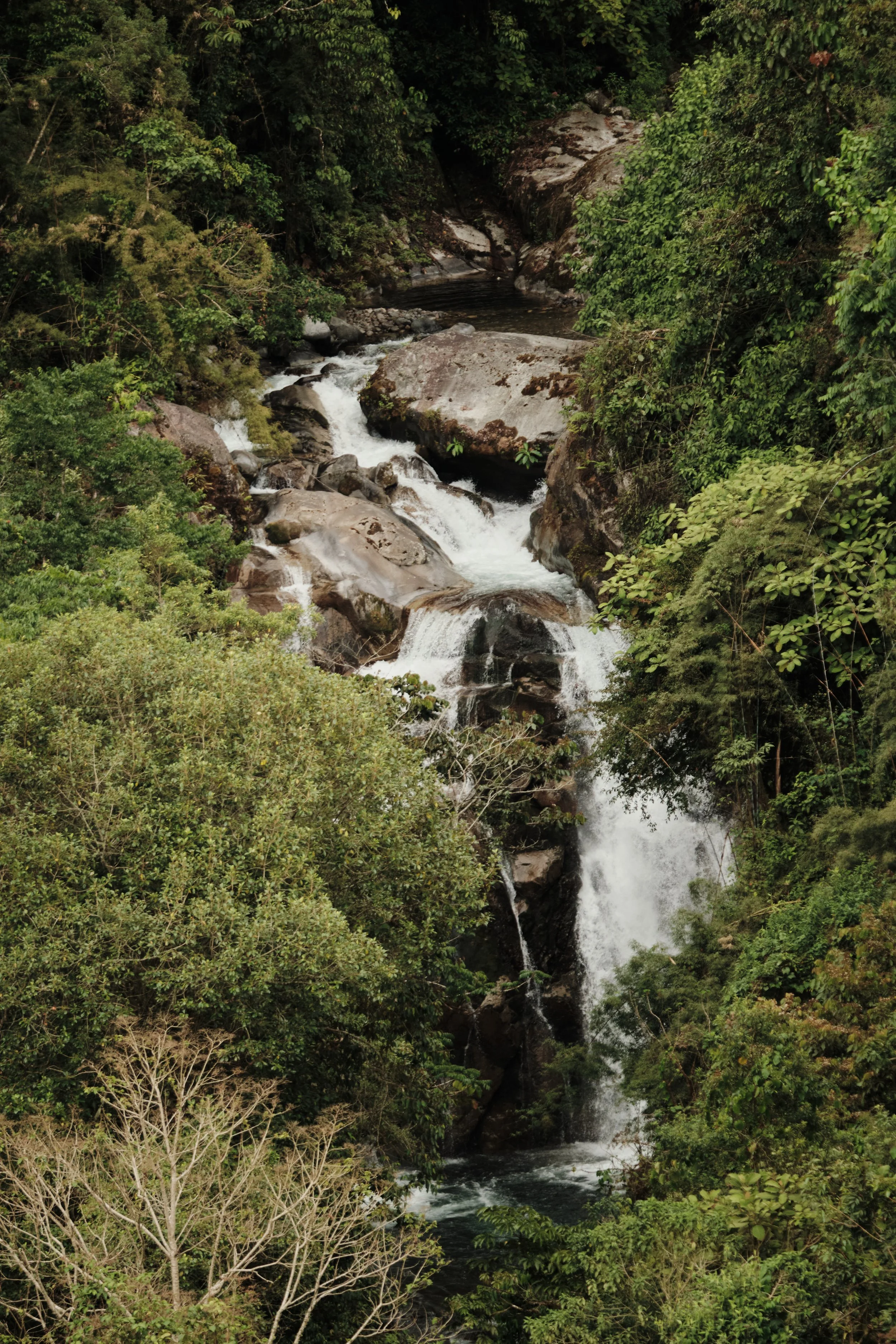 Layers of the Landscape -

Rather than a single drop, this waterfall unfolds through a series of rocky terraces, revealing the powerful journey of water as it descends through the rainforest canopy.