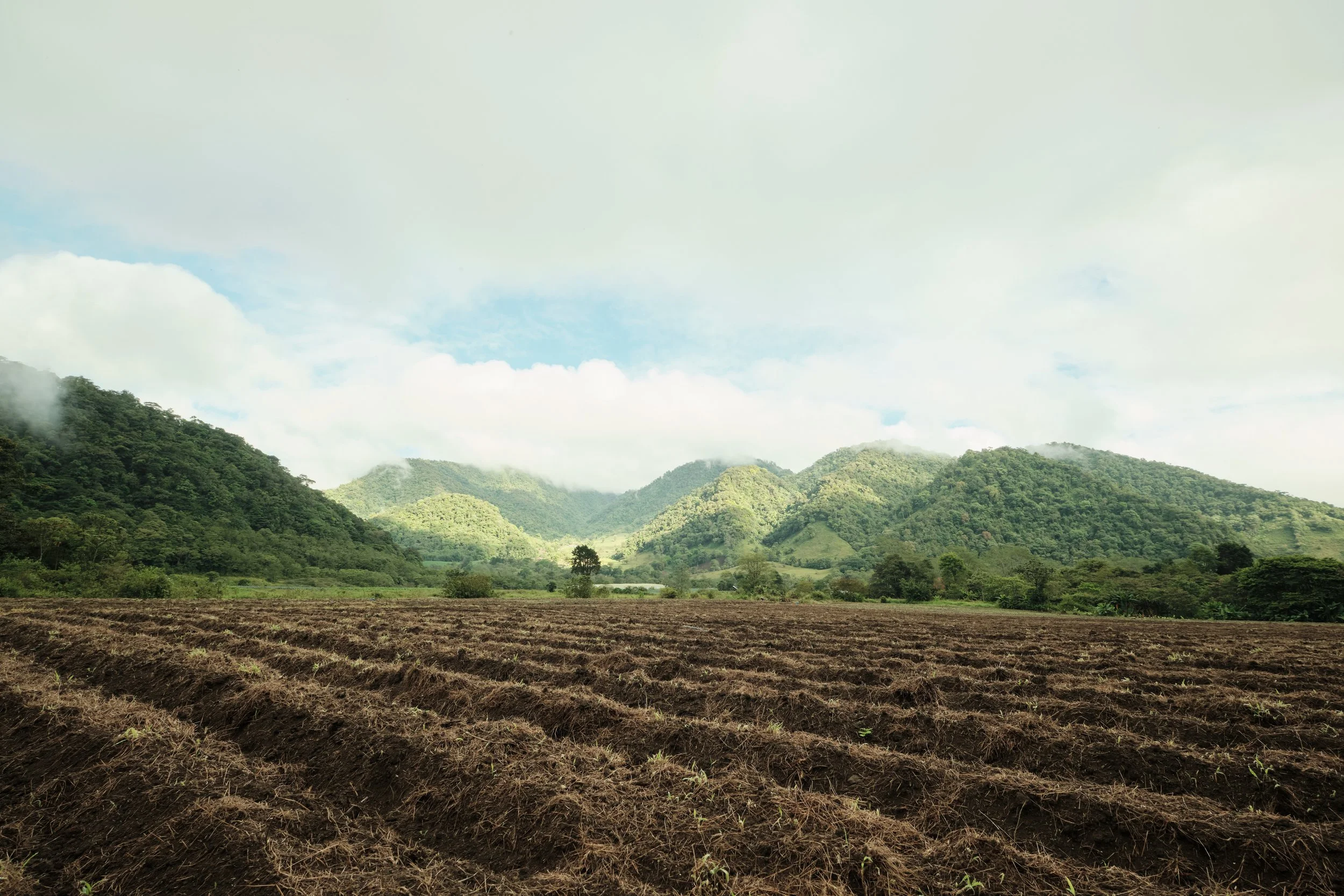 Where Mountains Meet Farmland -

At the edge of Bajos del Toro, fertile fields stretch toward mist-covered mountains, illustrating the close relationship between Costa Rica’s agricultural traditions and its protected cloud forests.