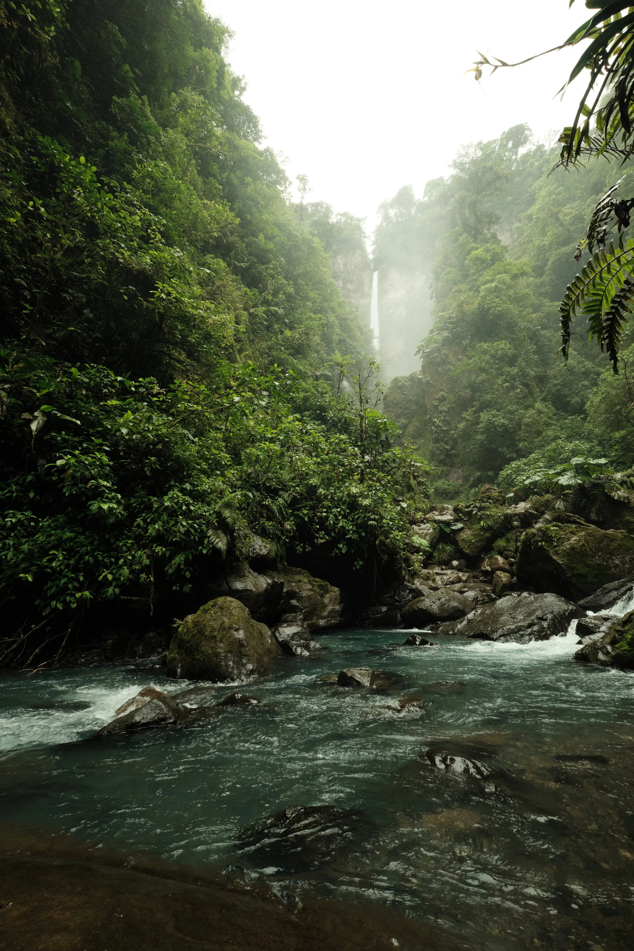 Following the Current -

Deep within the rainforest, turquoise waters weave through ancient boulders as a distant waterfall disappears into the mist beyond the trees.