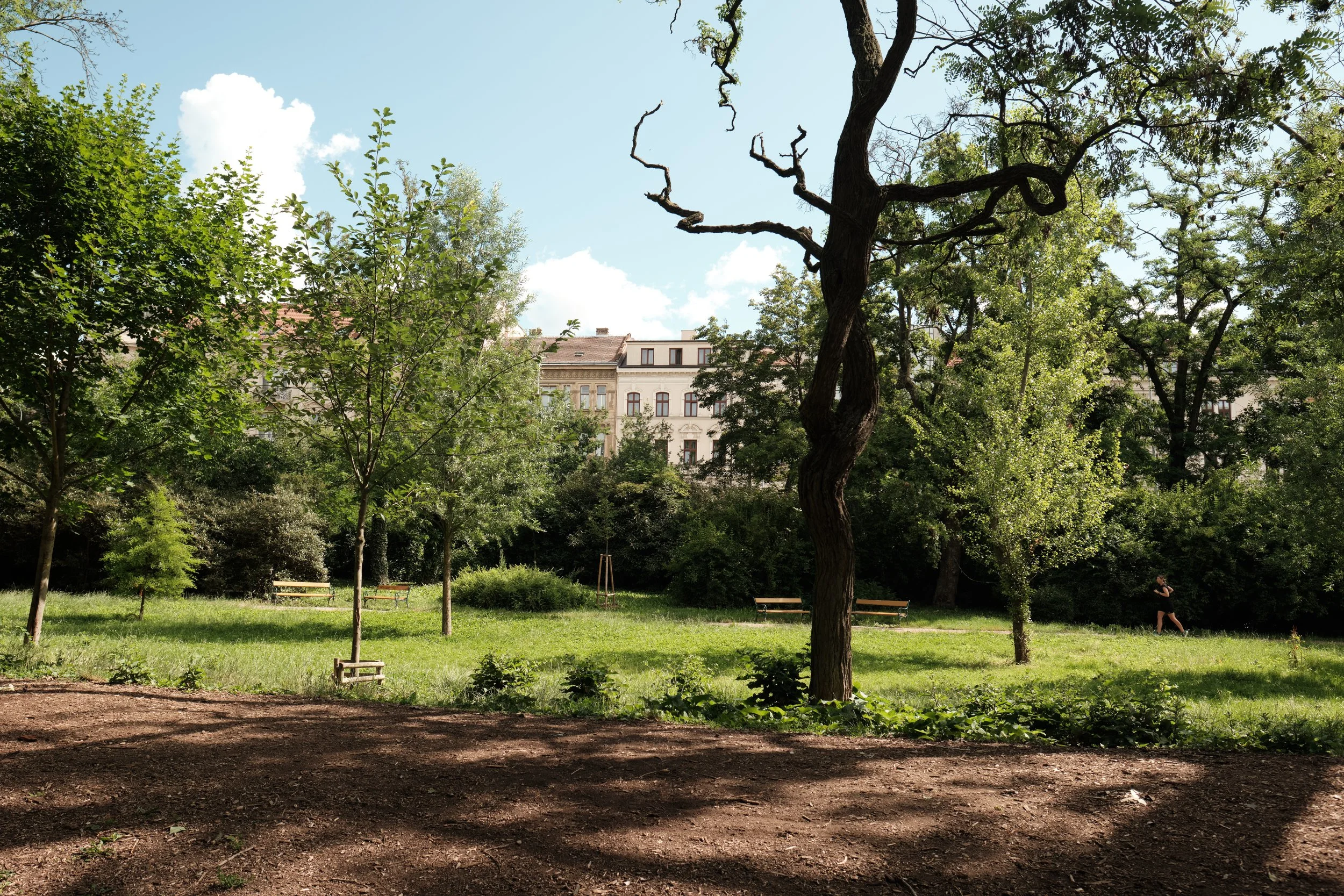 Brno’s oldest public park transforms with the seasons, where winding paths, towering trees, and quiet corners invite you to slow down and appreciate nature in the heart of the city.