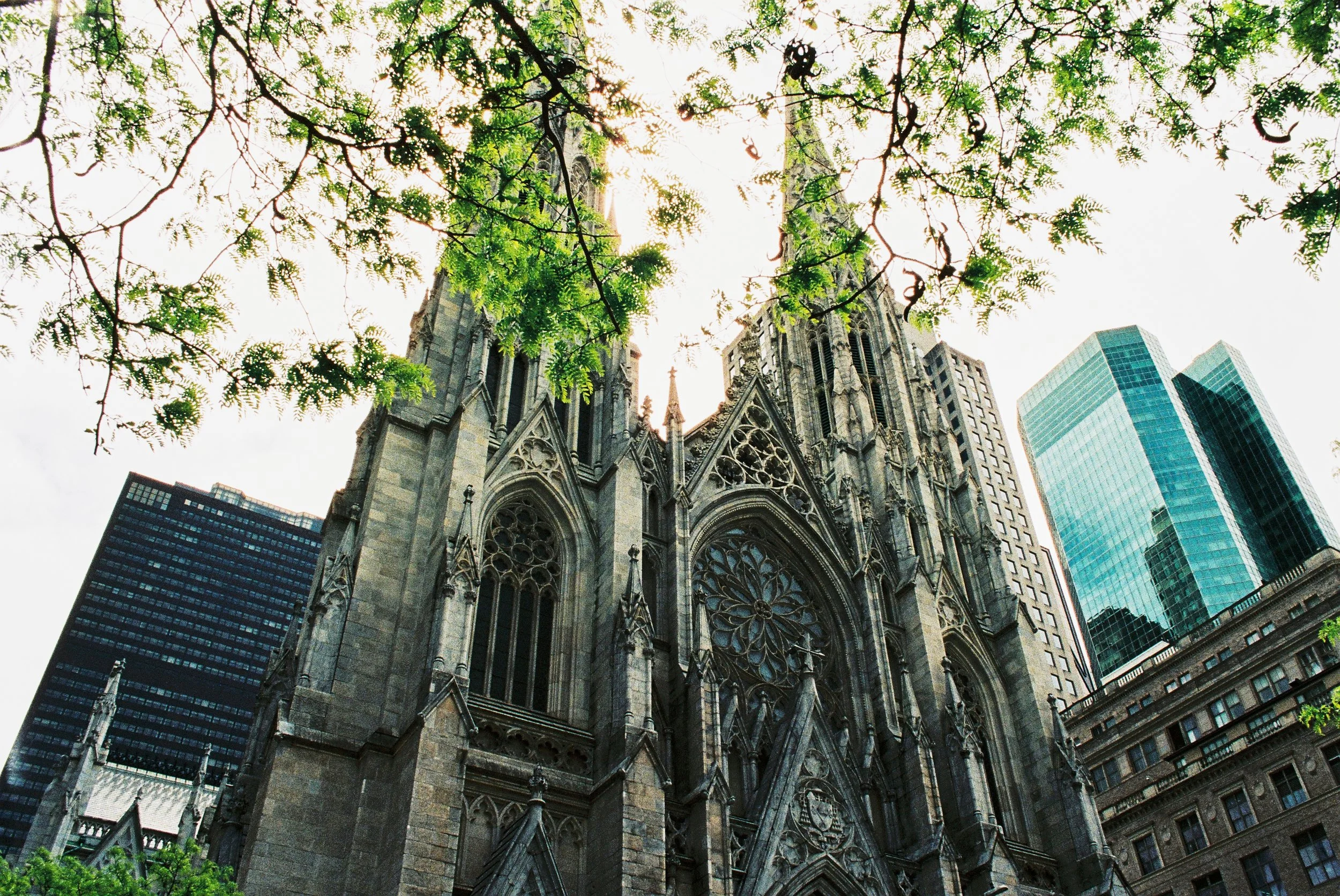 EDIT_R1-07420-0020.jpg