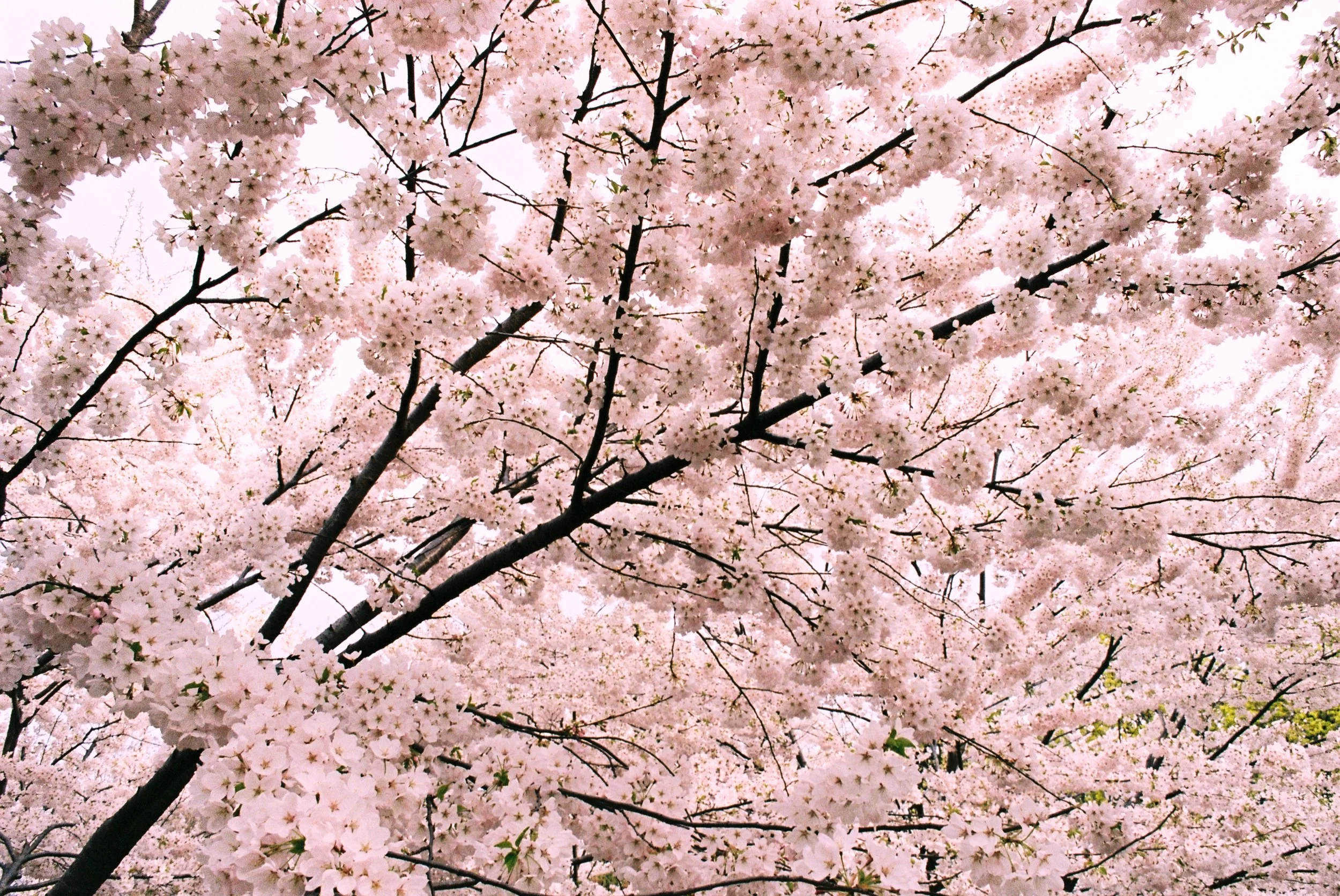 EDIT_R1-07425-025A.jpg
