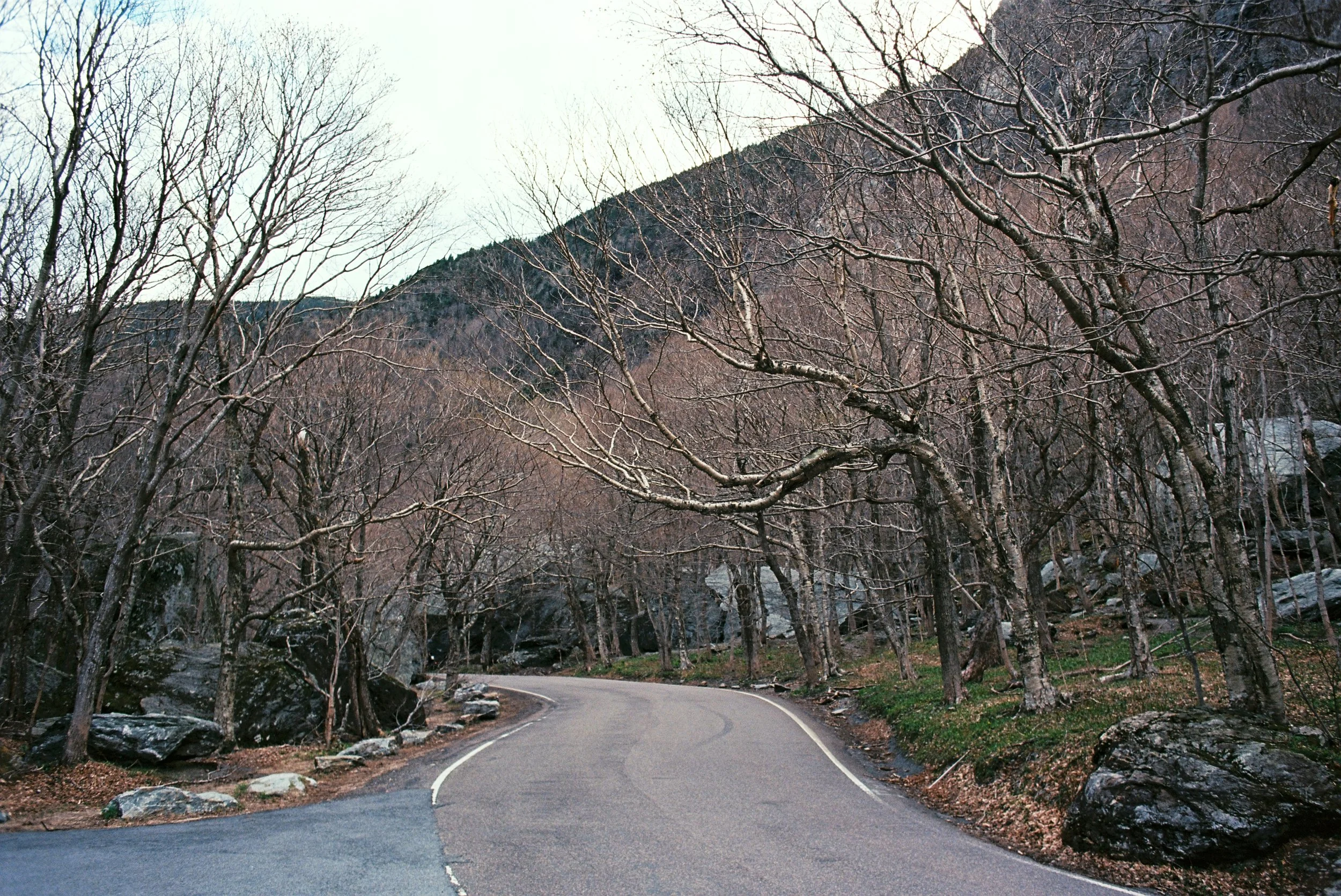 EDIT_R1-08037-0016.jpg