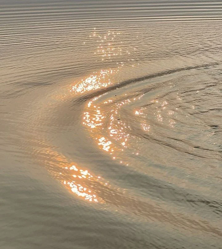 Everything’s connected.β 
β 
From your thoughts, to the energy you put out into the world, to how it comes back to you - a ripple effect, one action leading to another.β 
β 
Now that we know this, how can you direct that ripple to create positive c