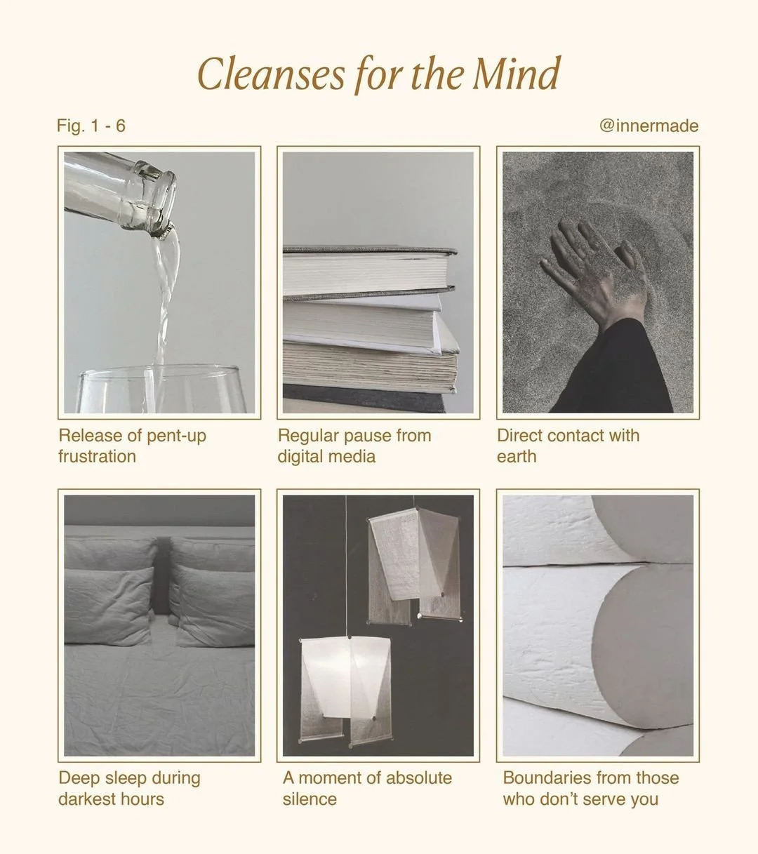 More of this in 2026 #renew ✨🌿