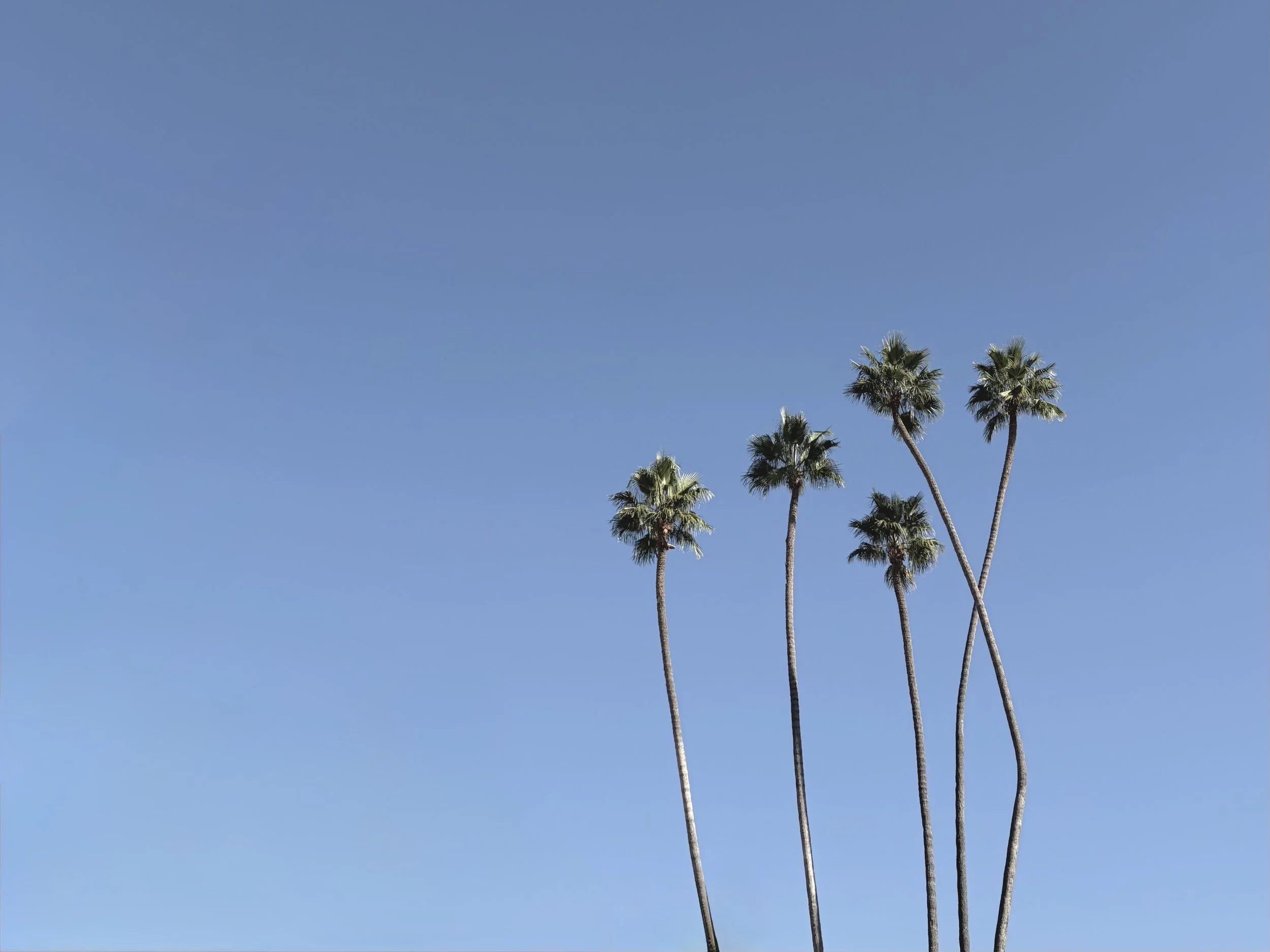 You've heard it all before