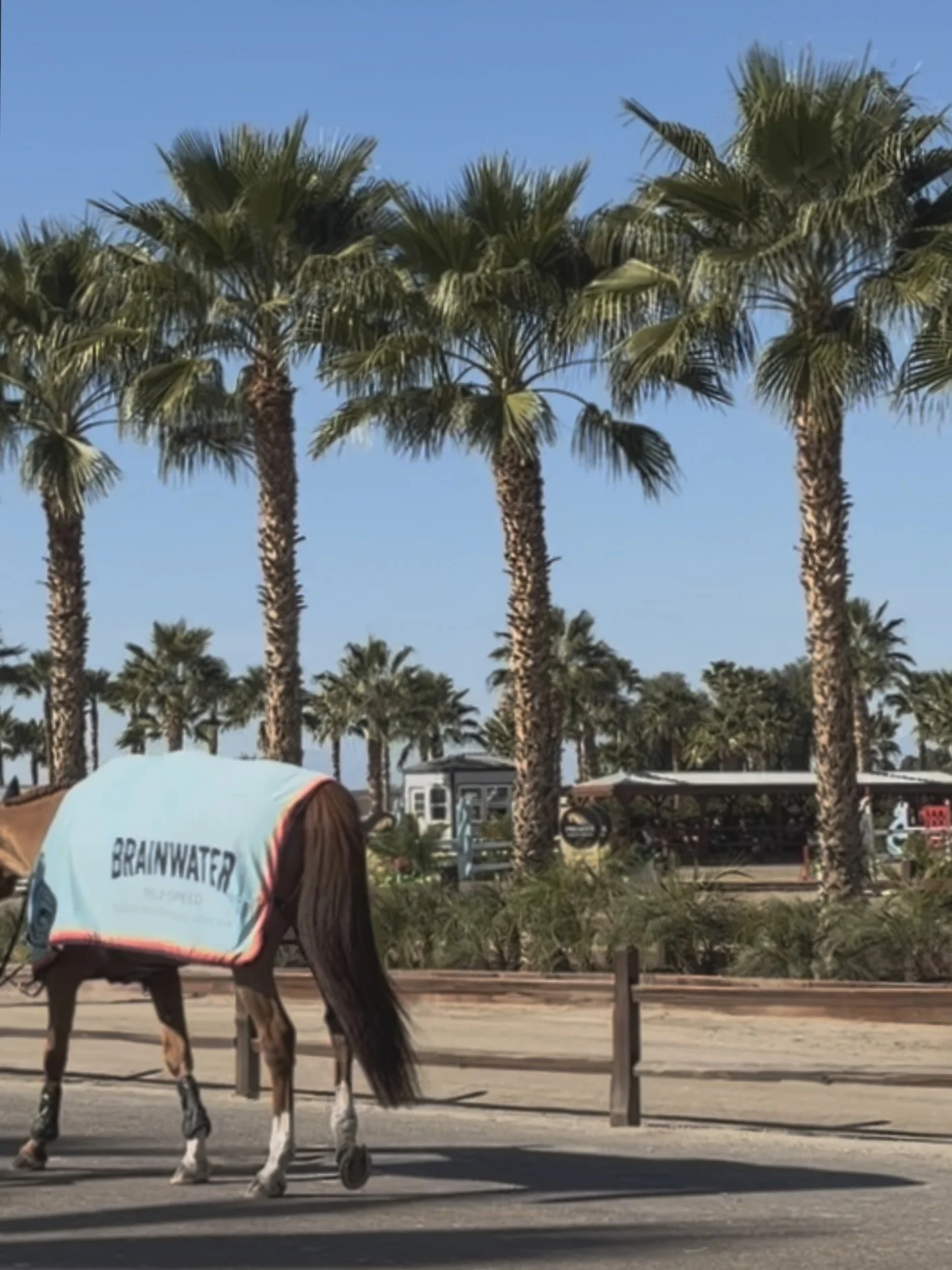 AI isn't a shortcut for bookkeeping