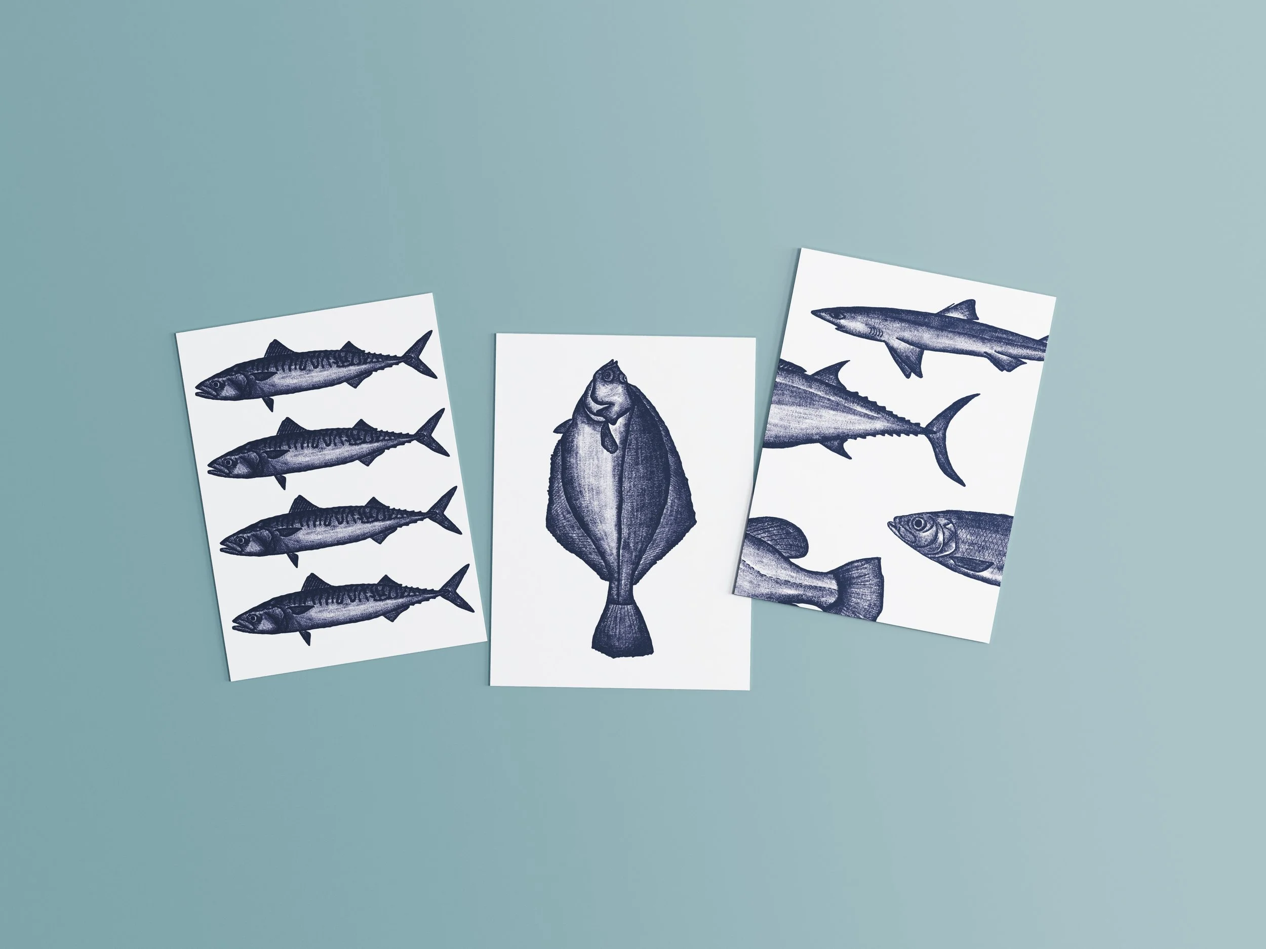 3 Postcard Mockups13.jpg