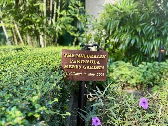 Peninsula_Bangkok_Herb_Garden.jpg