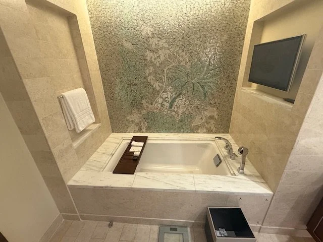 StRegis_Cairo_astor_suite_bathtub.jpg