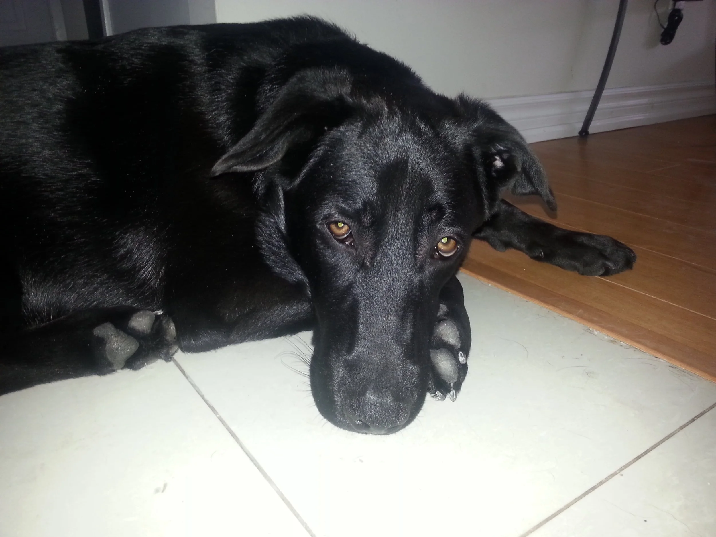 20140216_105244 - Copy.jpg