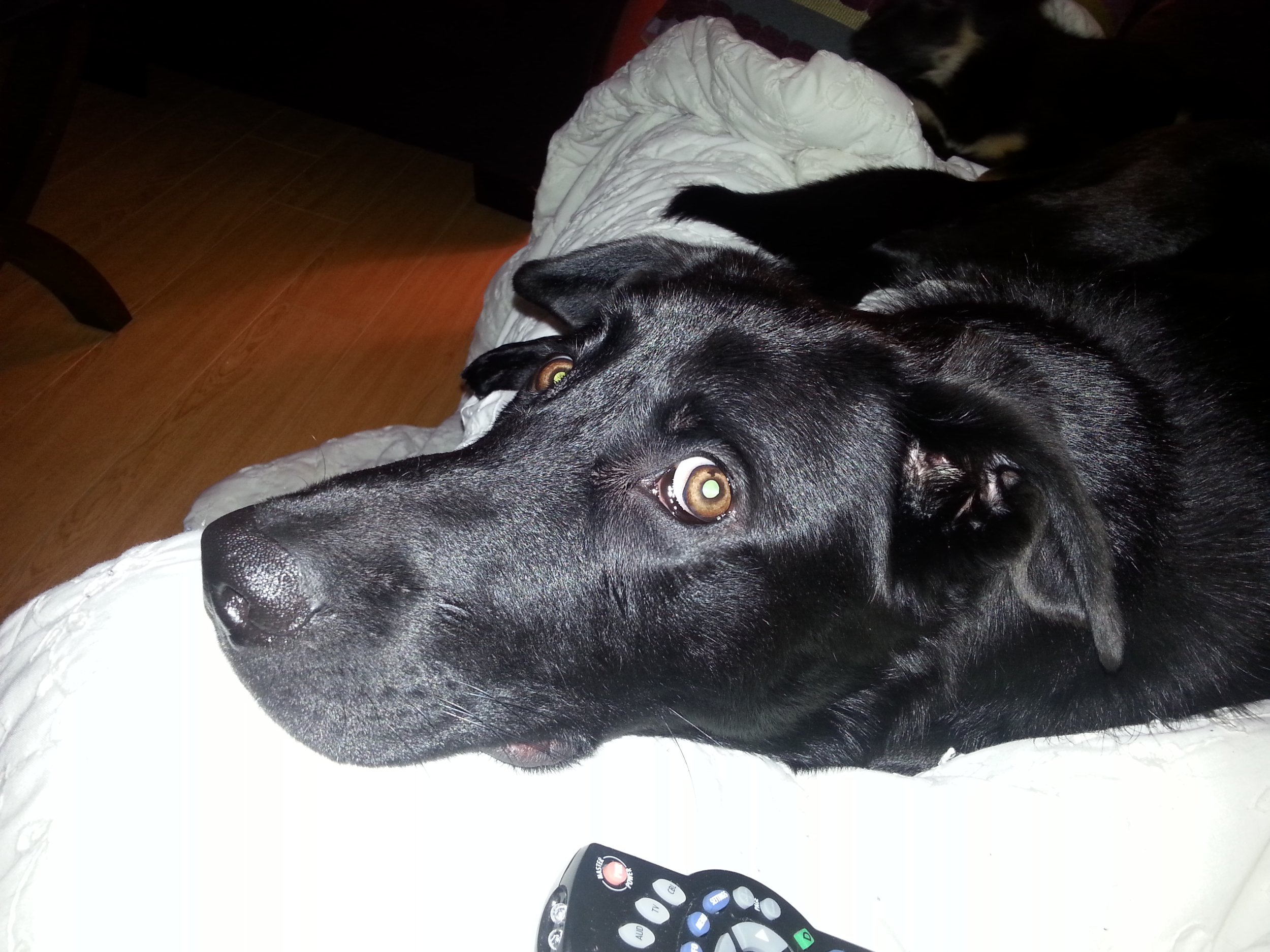 20140220_212409.jpg