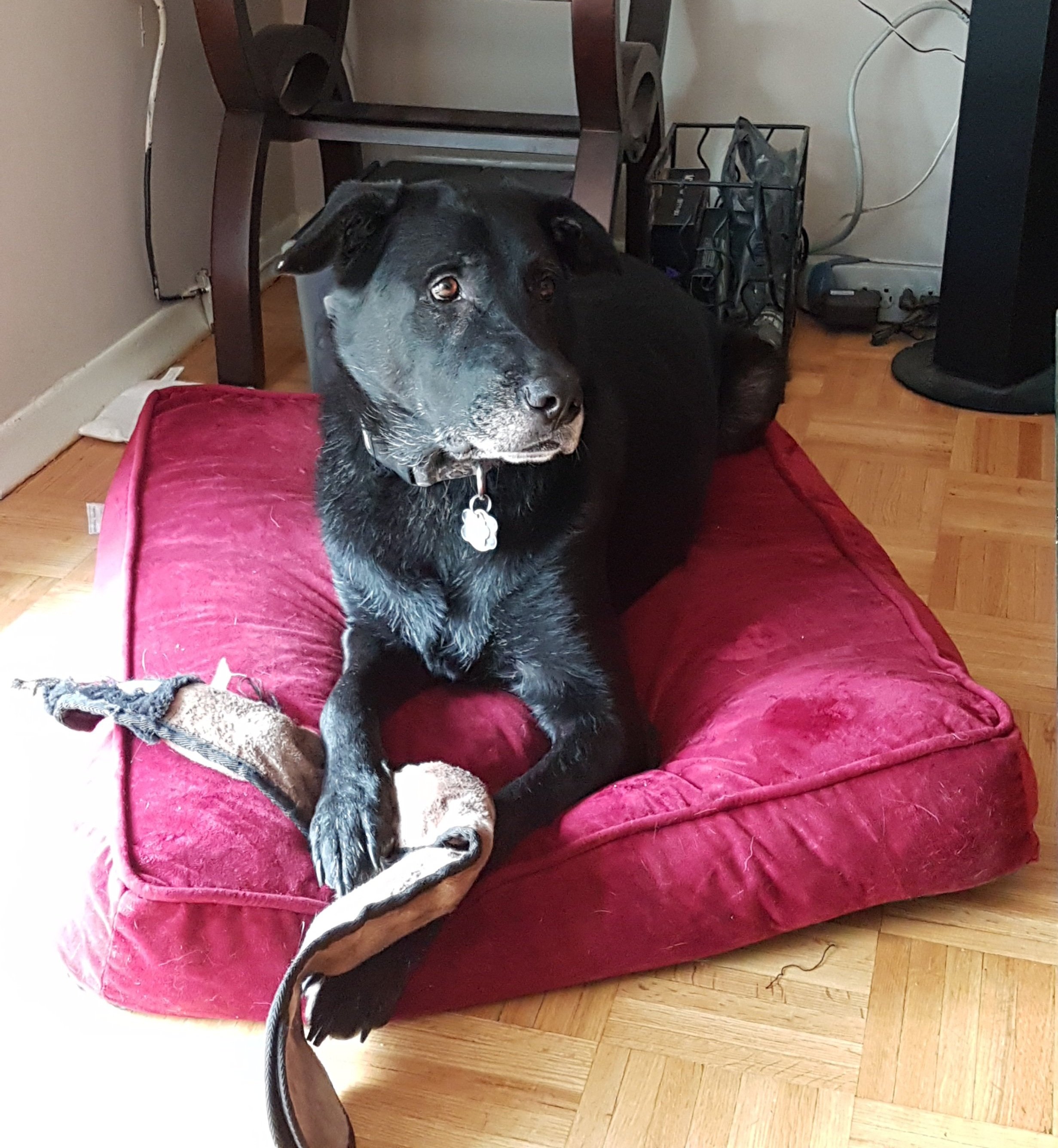 20170310_102348.jpg
