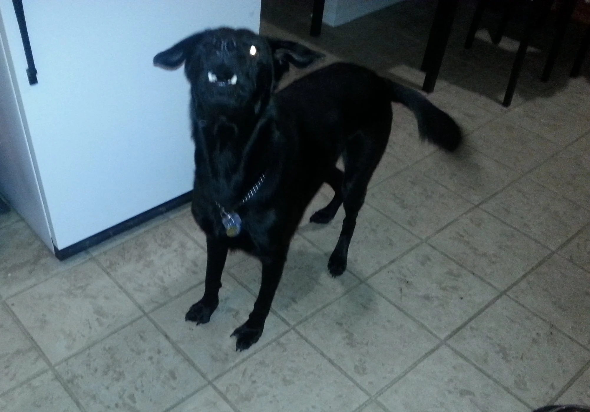 20141216_204230.jpg