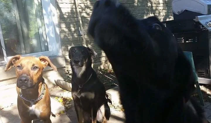 photo bomb.jpg