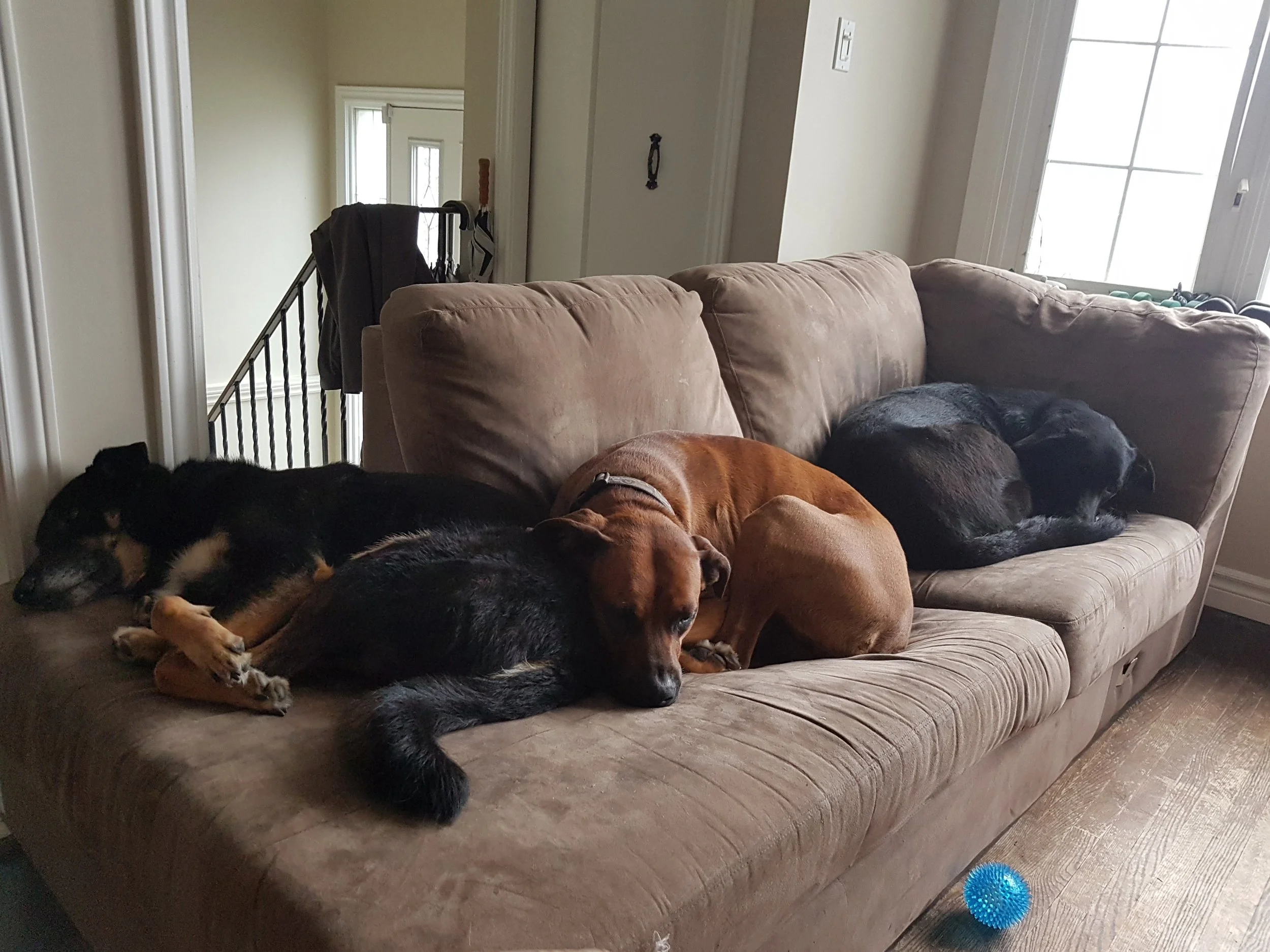 20180425_094033.jpg