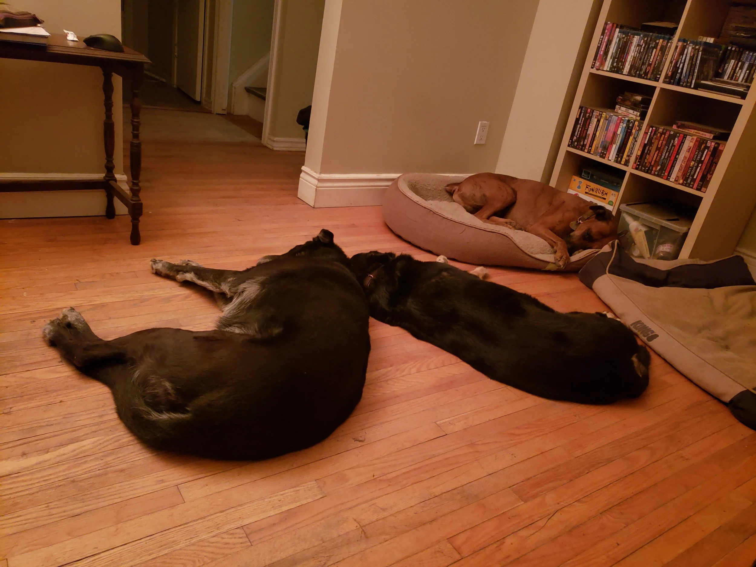 20191104_220554.jpg