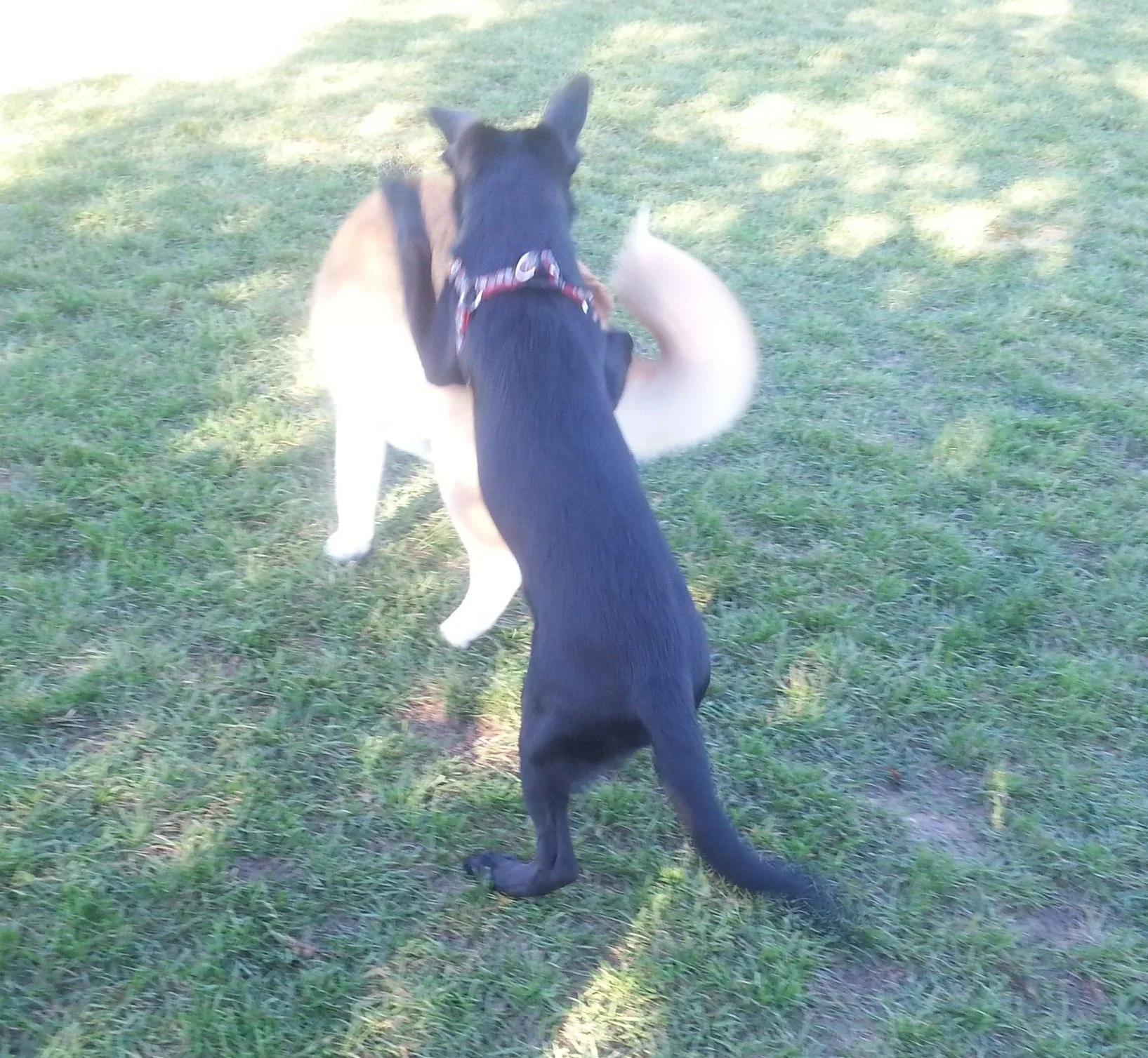 20130914_172109.jpg